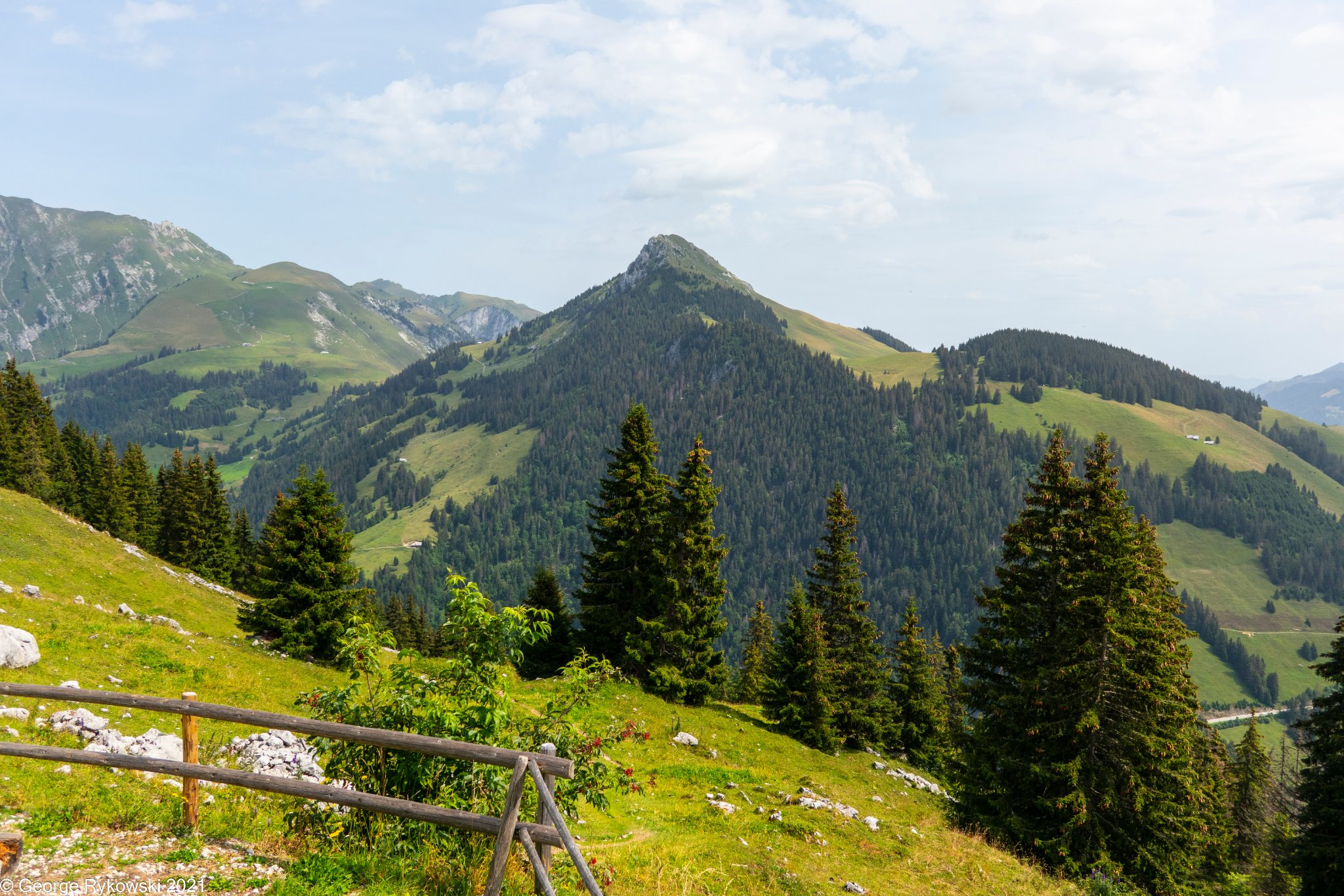 SwissVacation2021-1712.jpg