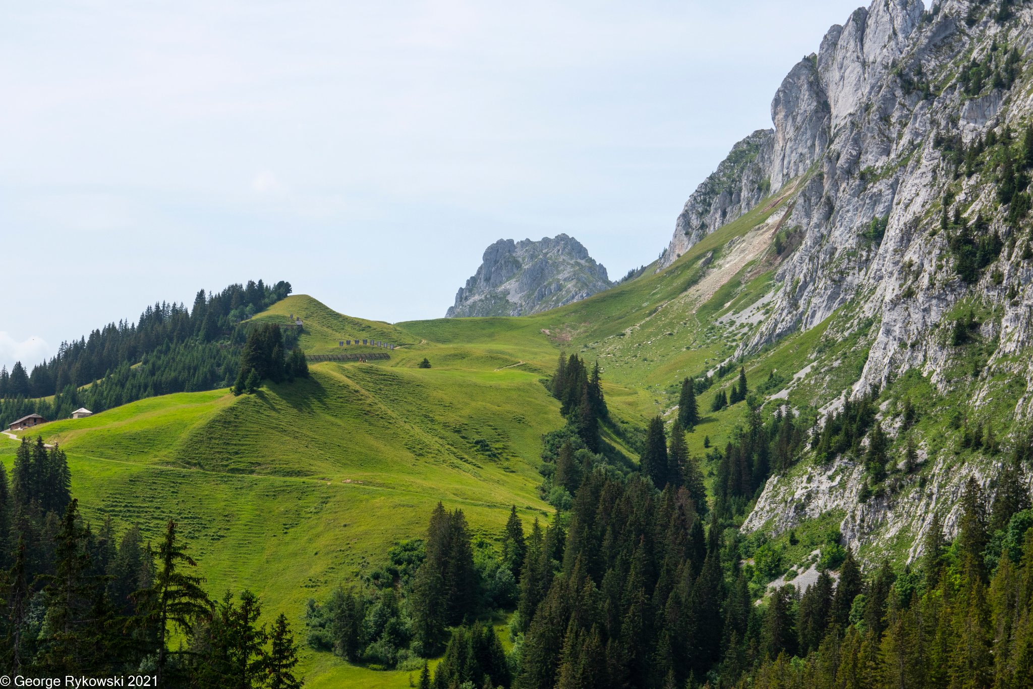 SwissVacation2021-1722.jpg