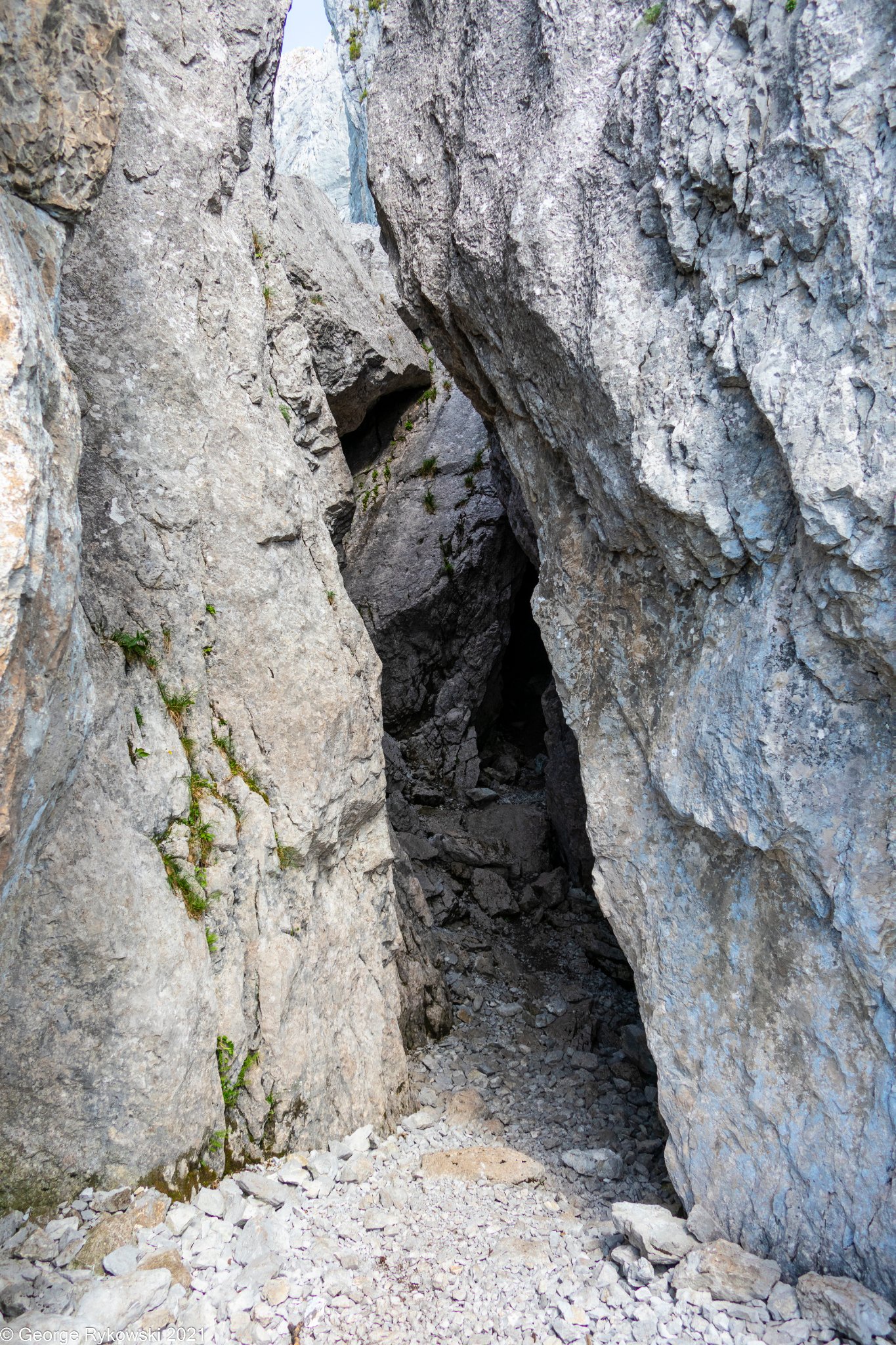 SwissVacation2021-1738.jpg