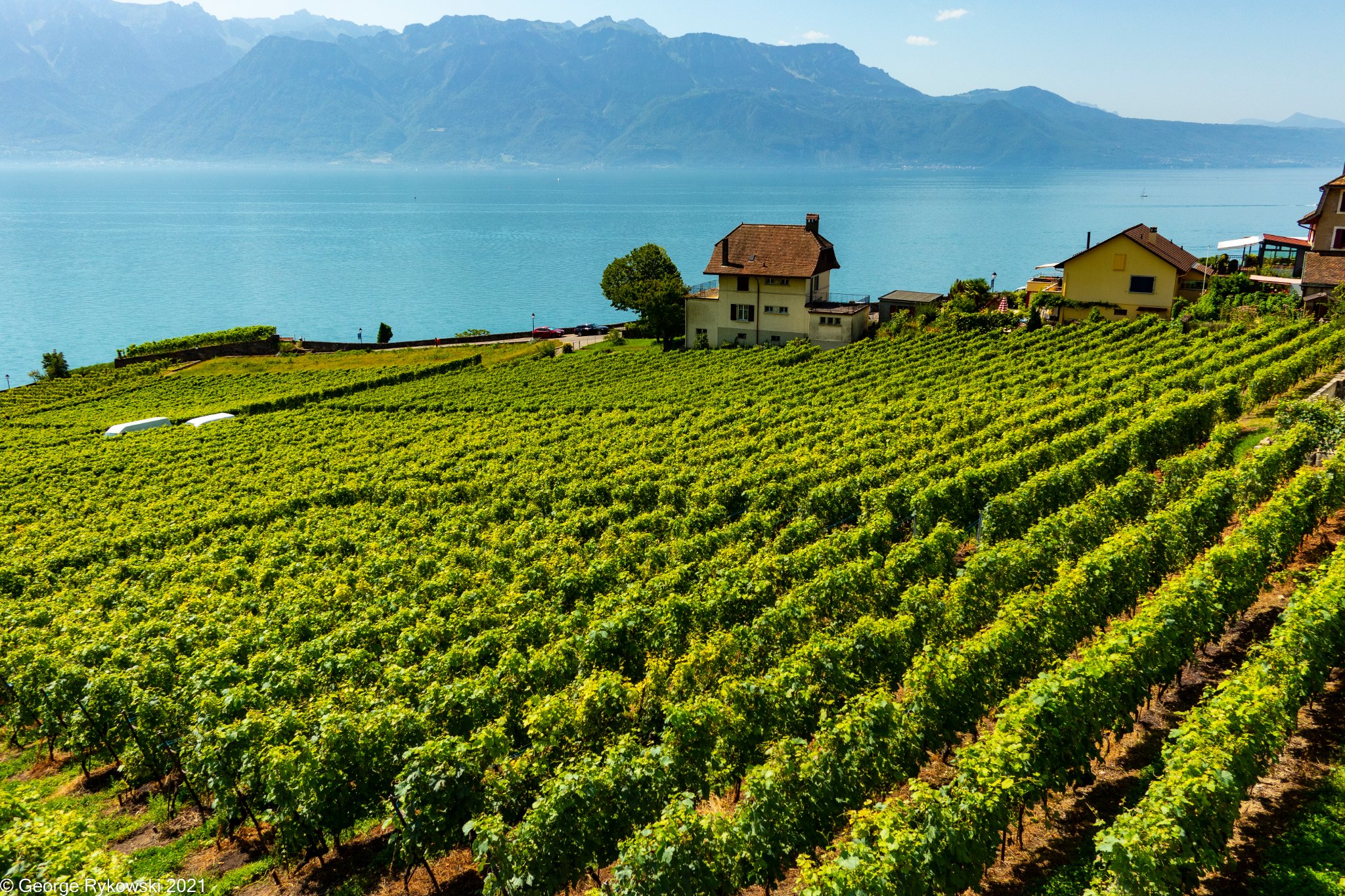 SwissVacation2021-1771.jpg