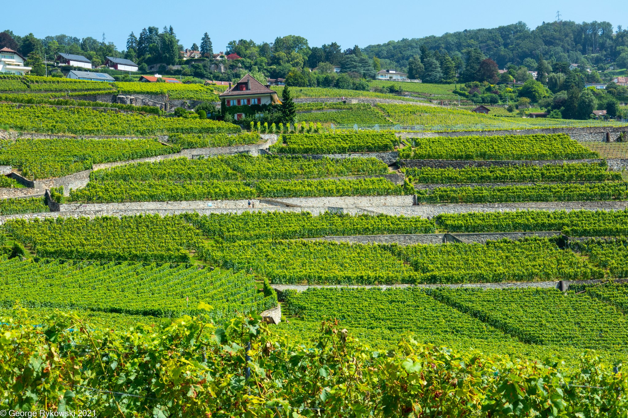 SwissVacation2021-1774.jpg