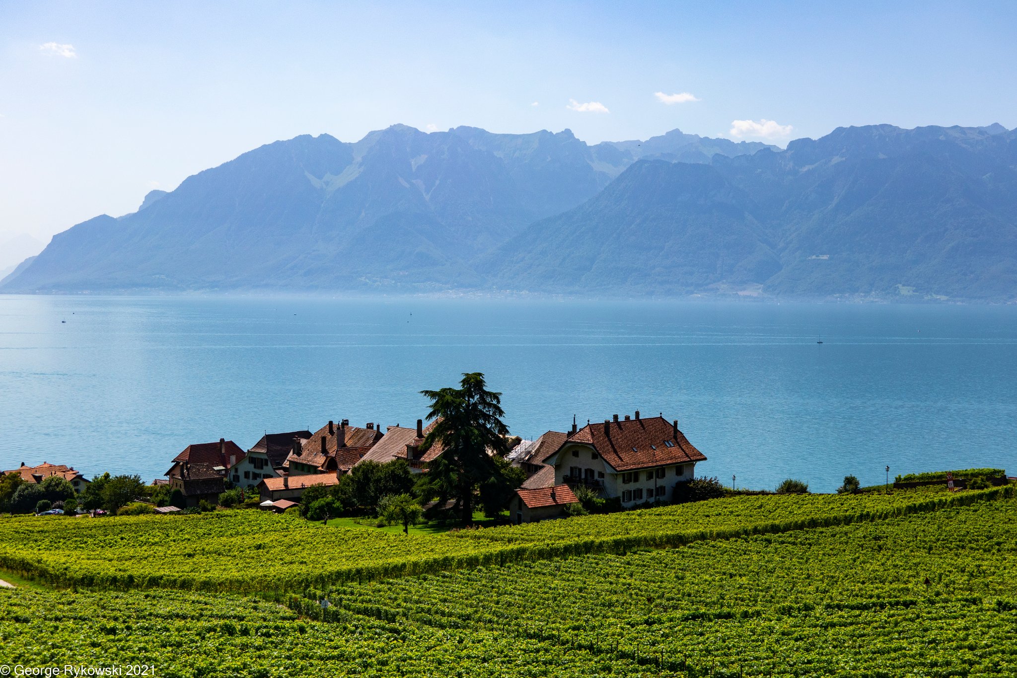 SwissVacation2021-1777.jpg