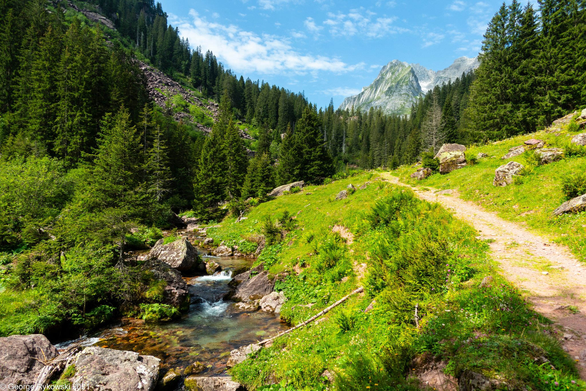 SwissVacation2021-1808.jpg