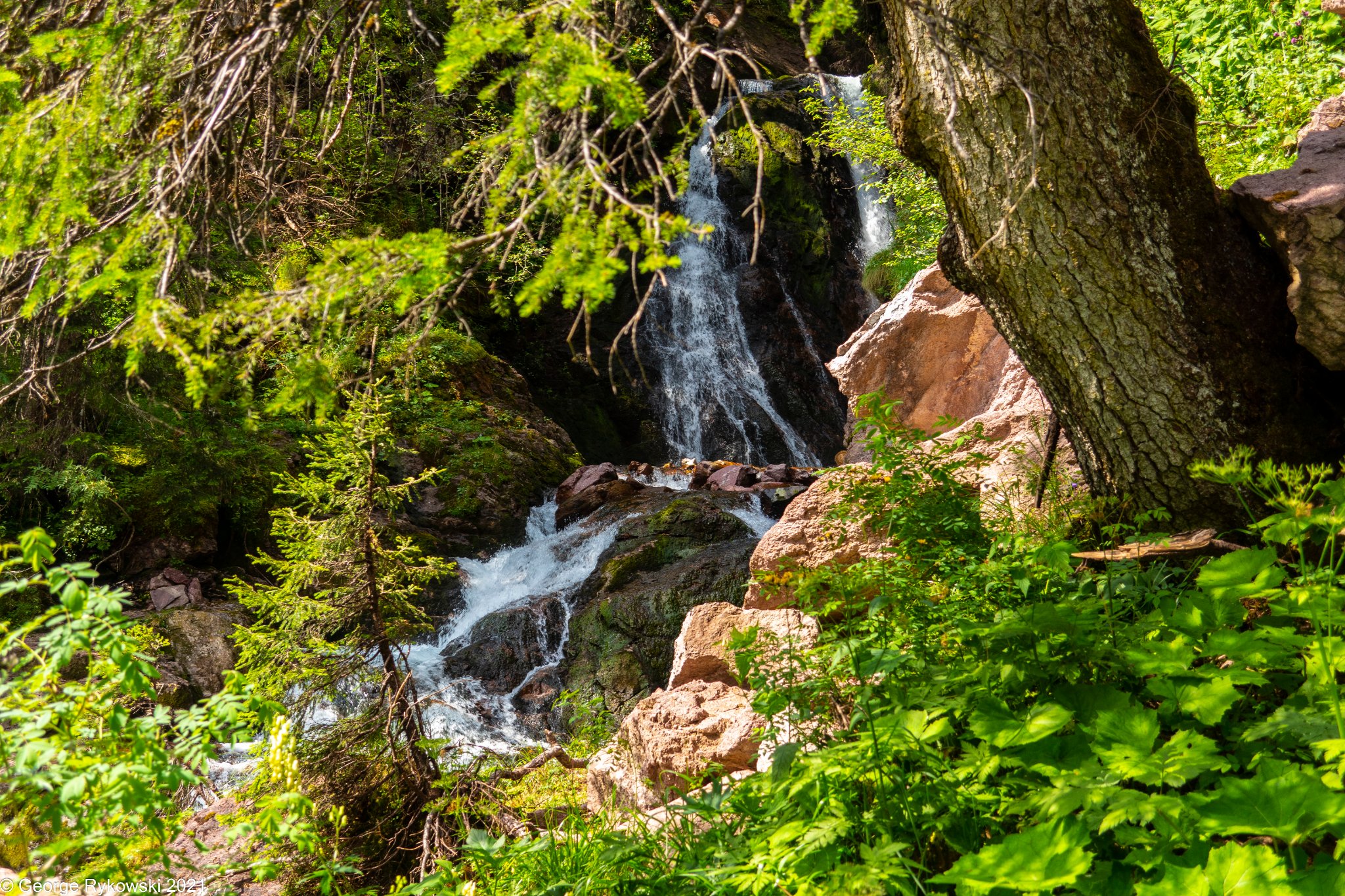 SwissVacation2021-1812.jpg