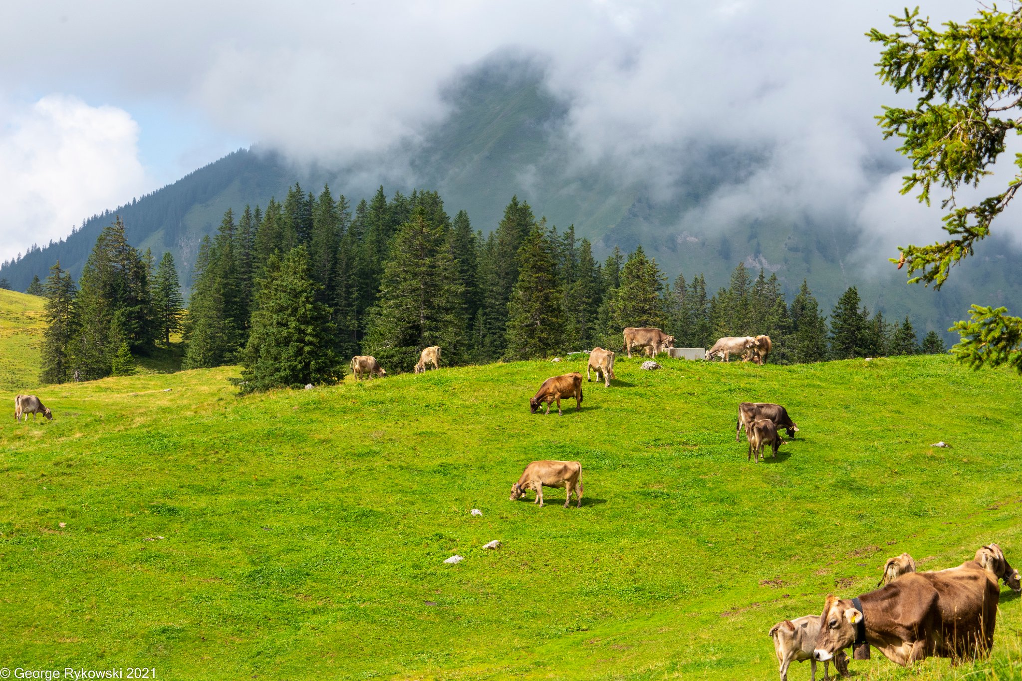 SwissVacation2021-1909.jpg