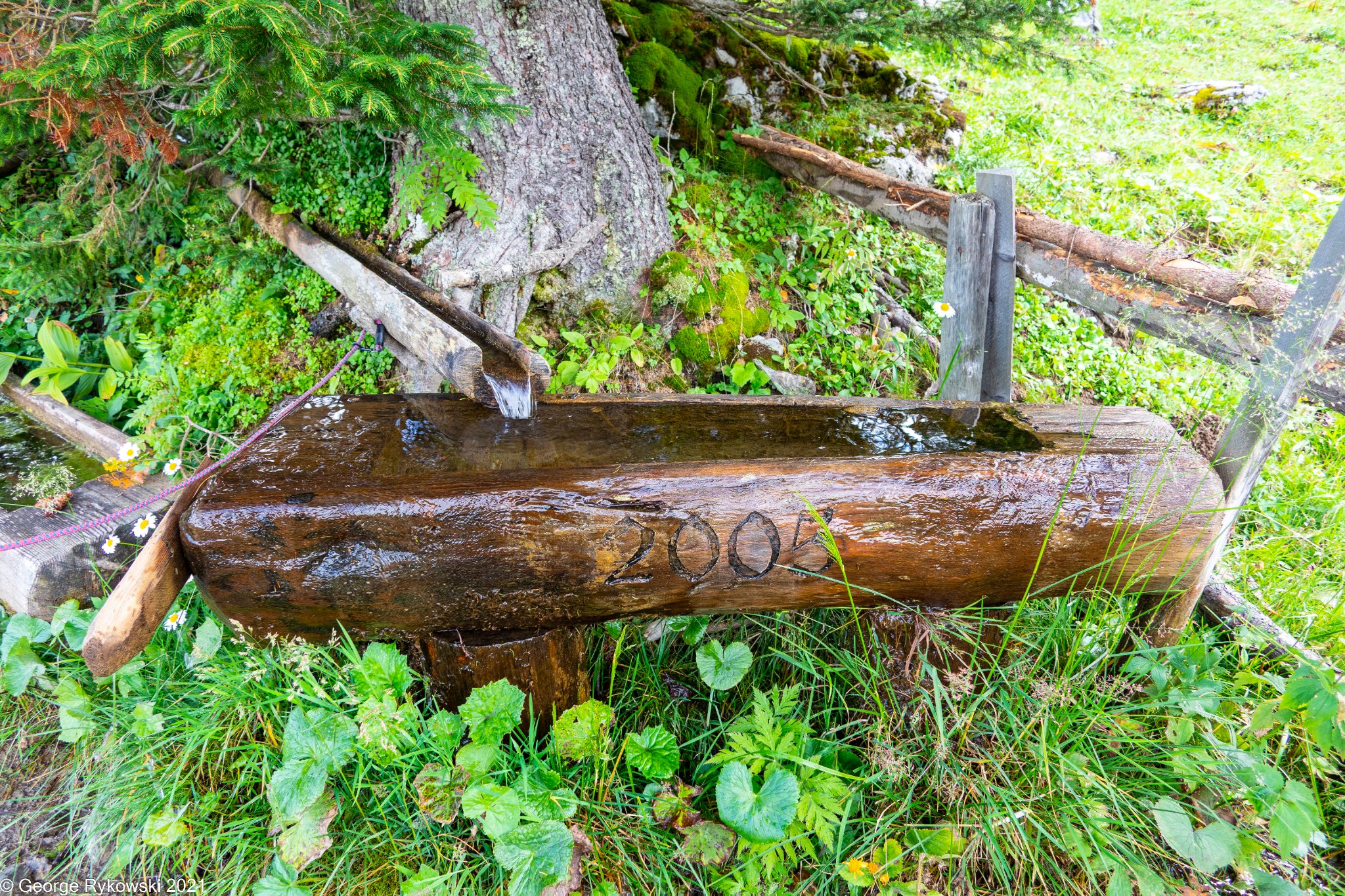 SwissVacation2021-1913.jpg