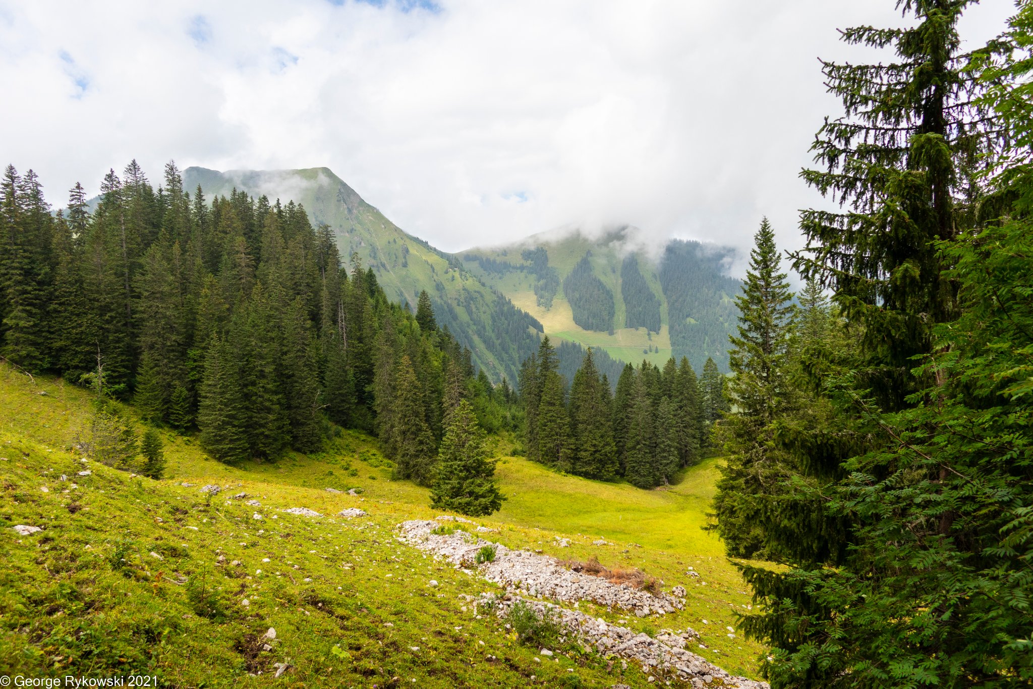 SwissVacation2021-1919.jpg