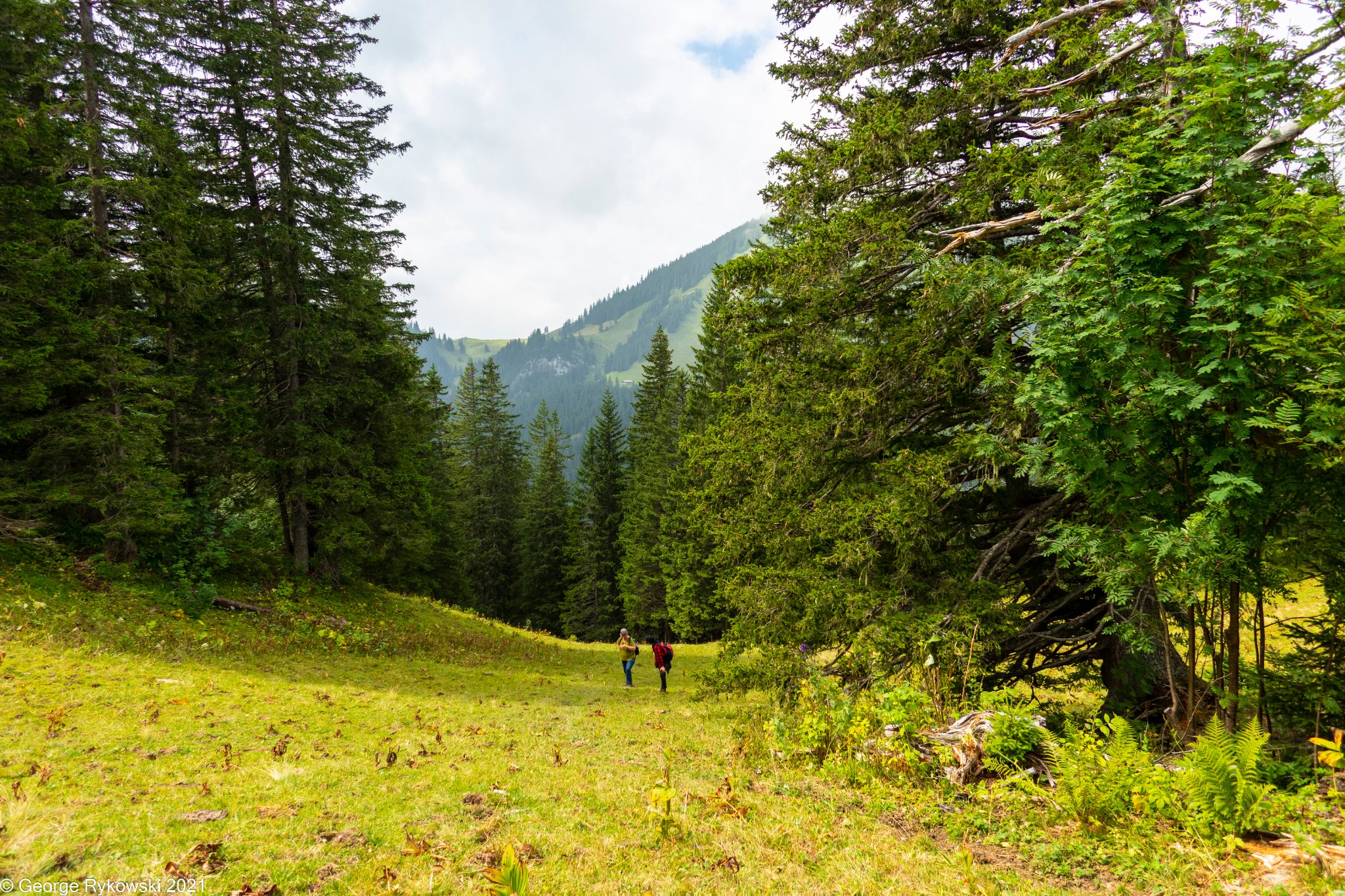 SwissVacation2021-1929.jpg