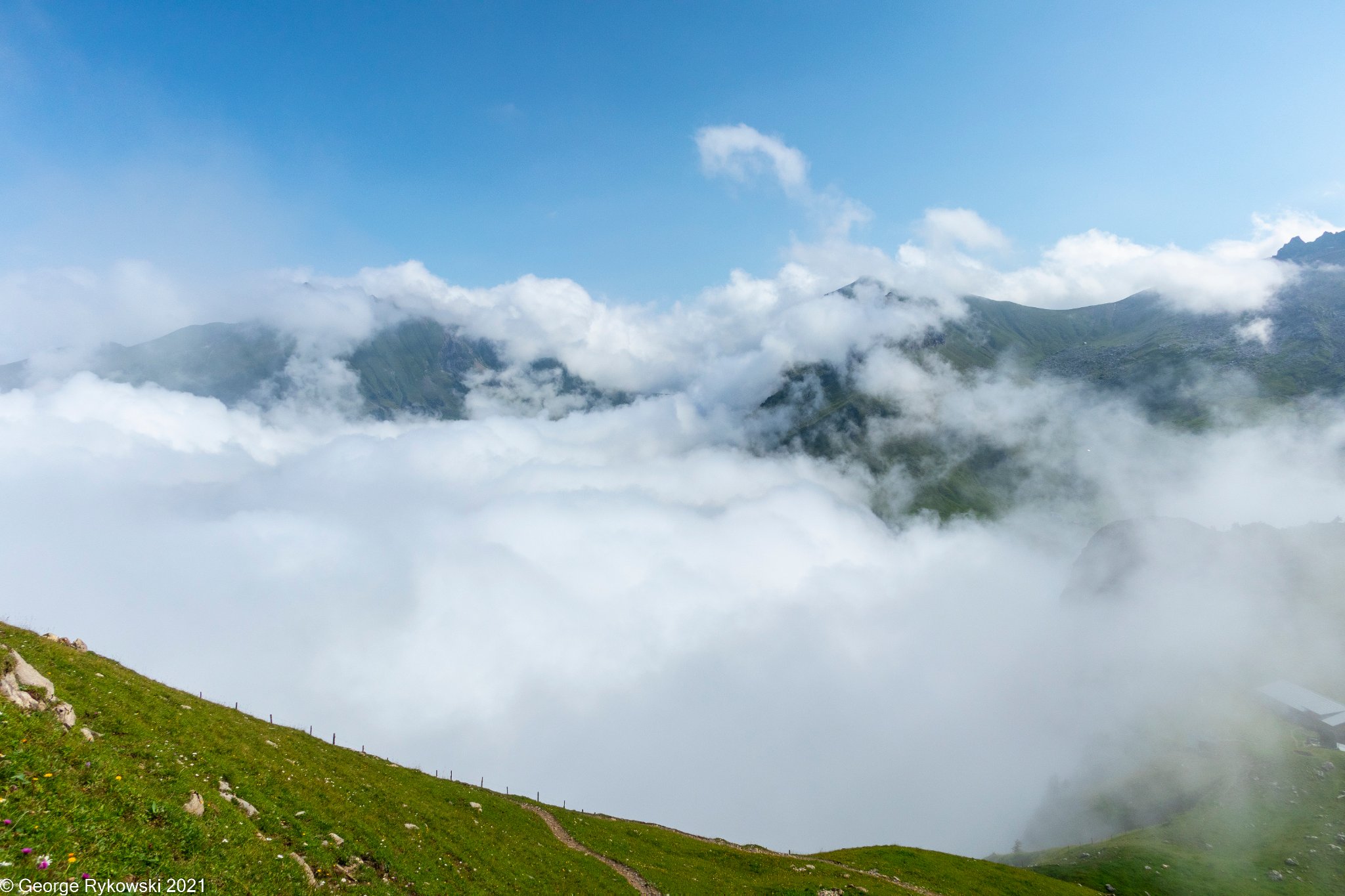 SwissVacation2021-1980.jpg