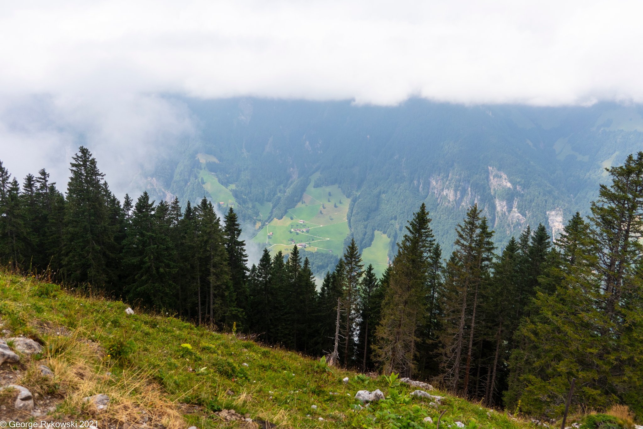 SwissVacation2021-1990.jpg