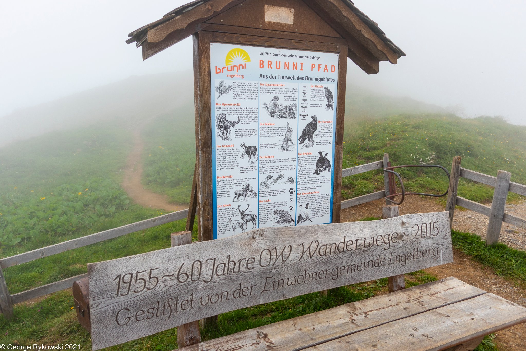 SwissVacation2021-2000.jpg