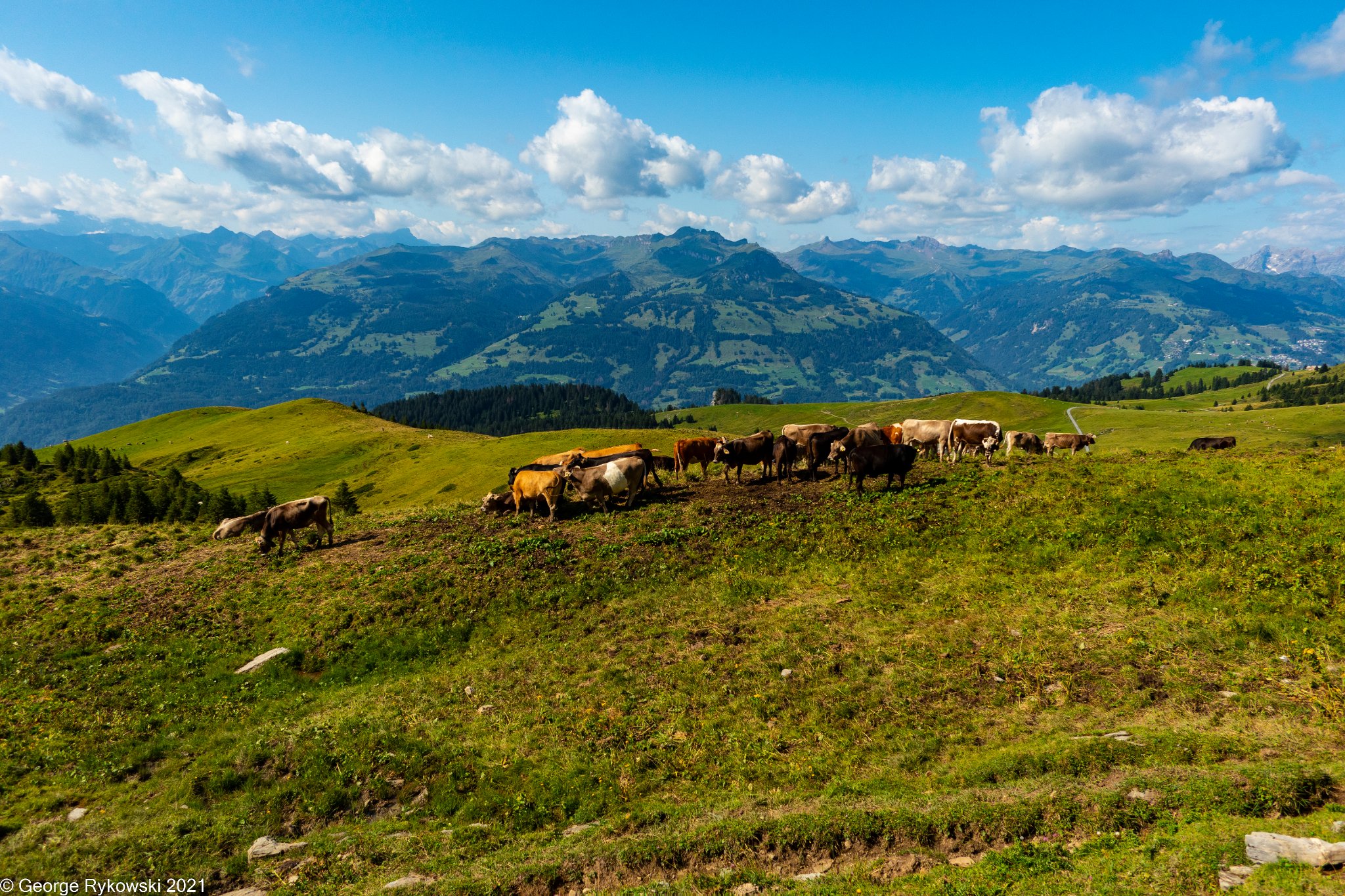 SwissVacation2021-2061.jpg