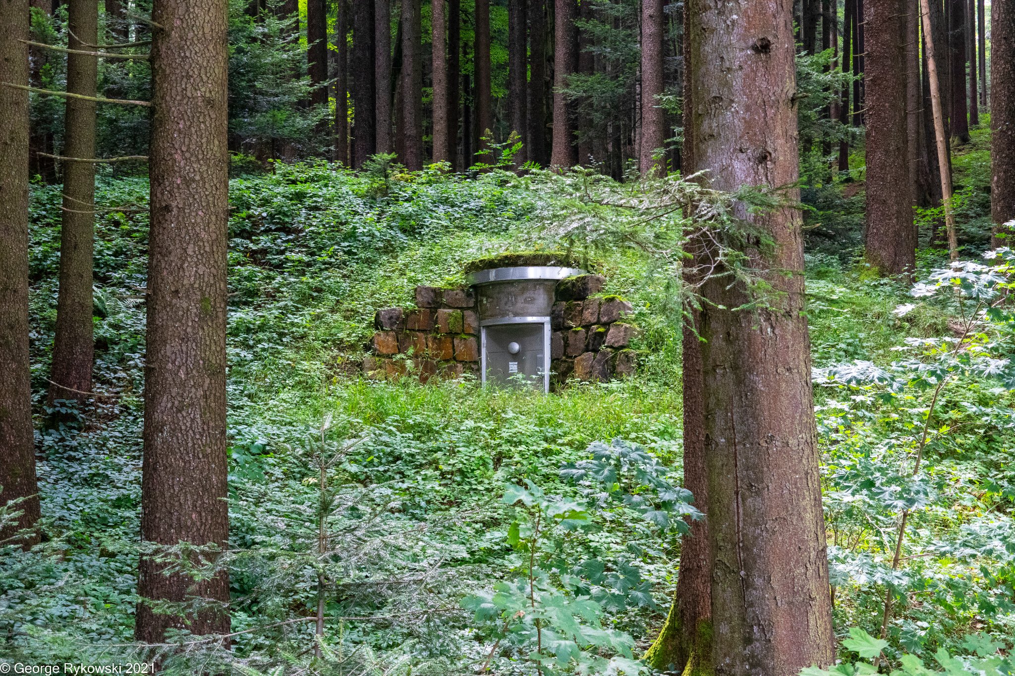 SwissVacation2021-2101.jpg