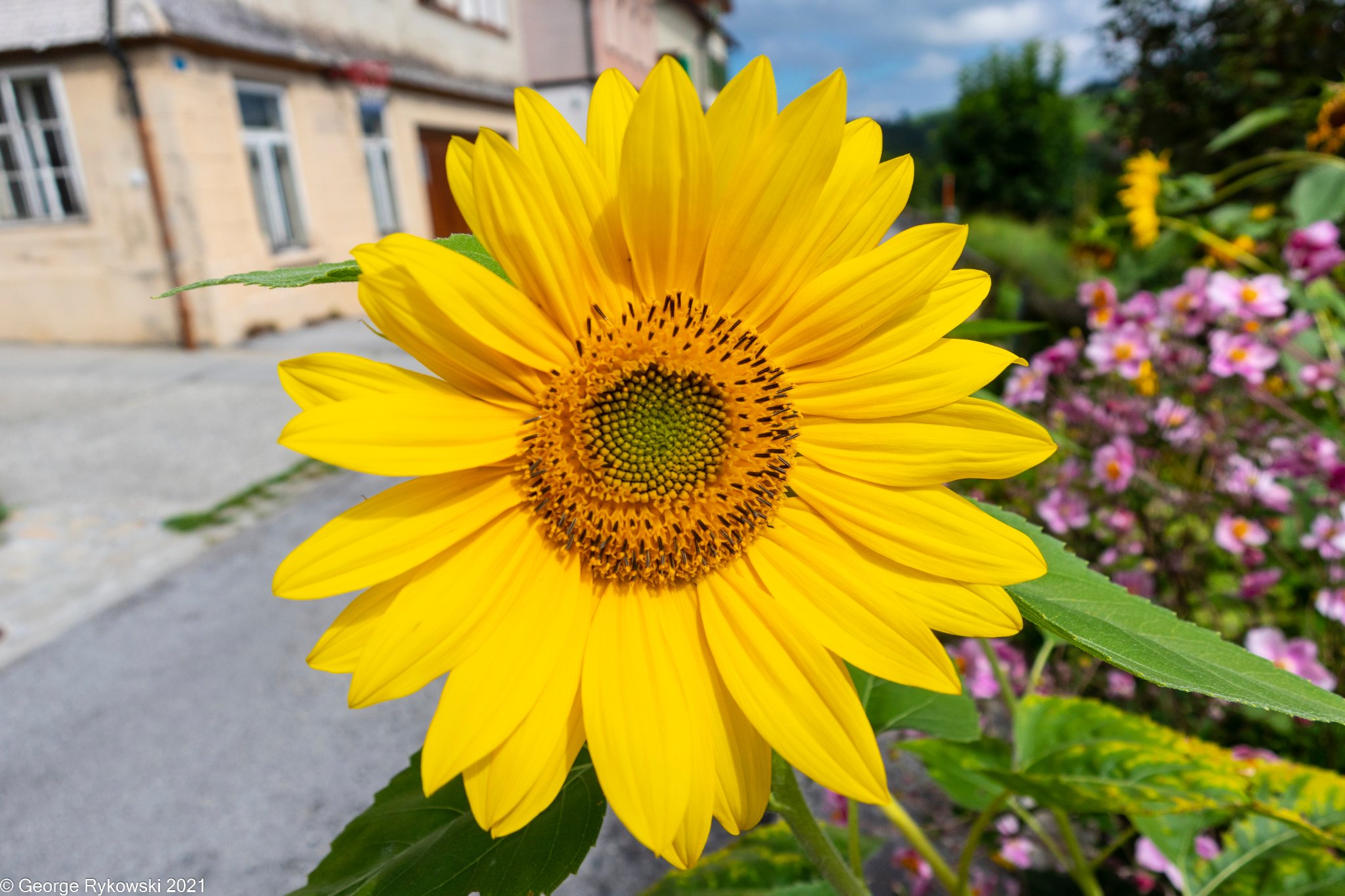 SwissVacation2021-2110.jpg