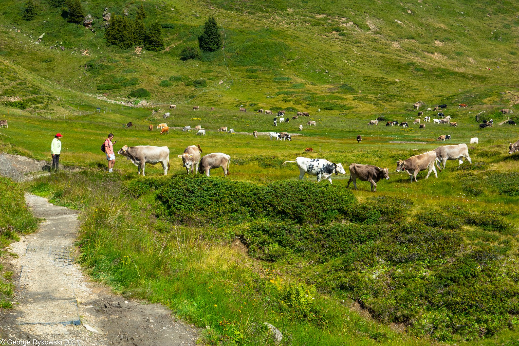 SwissVacation2021-2211.jpg