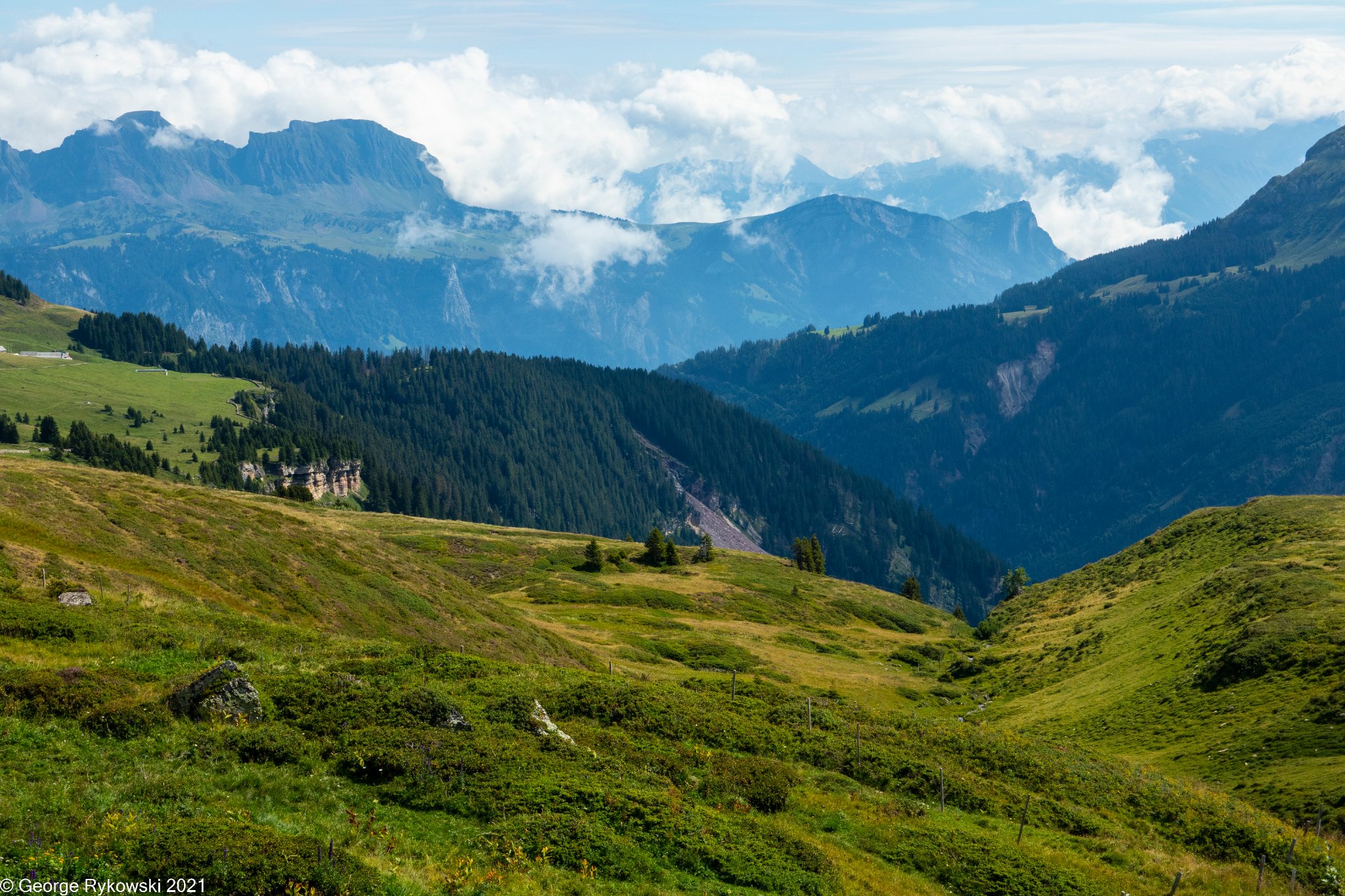 SwissVacation2021-2212.jpg