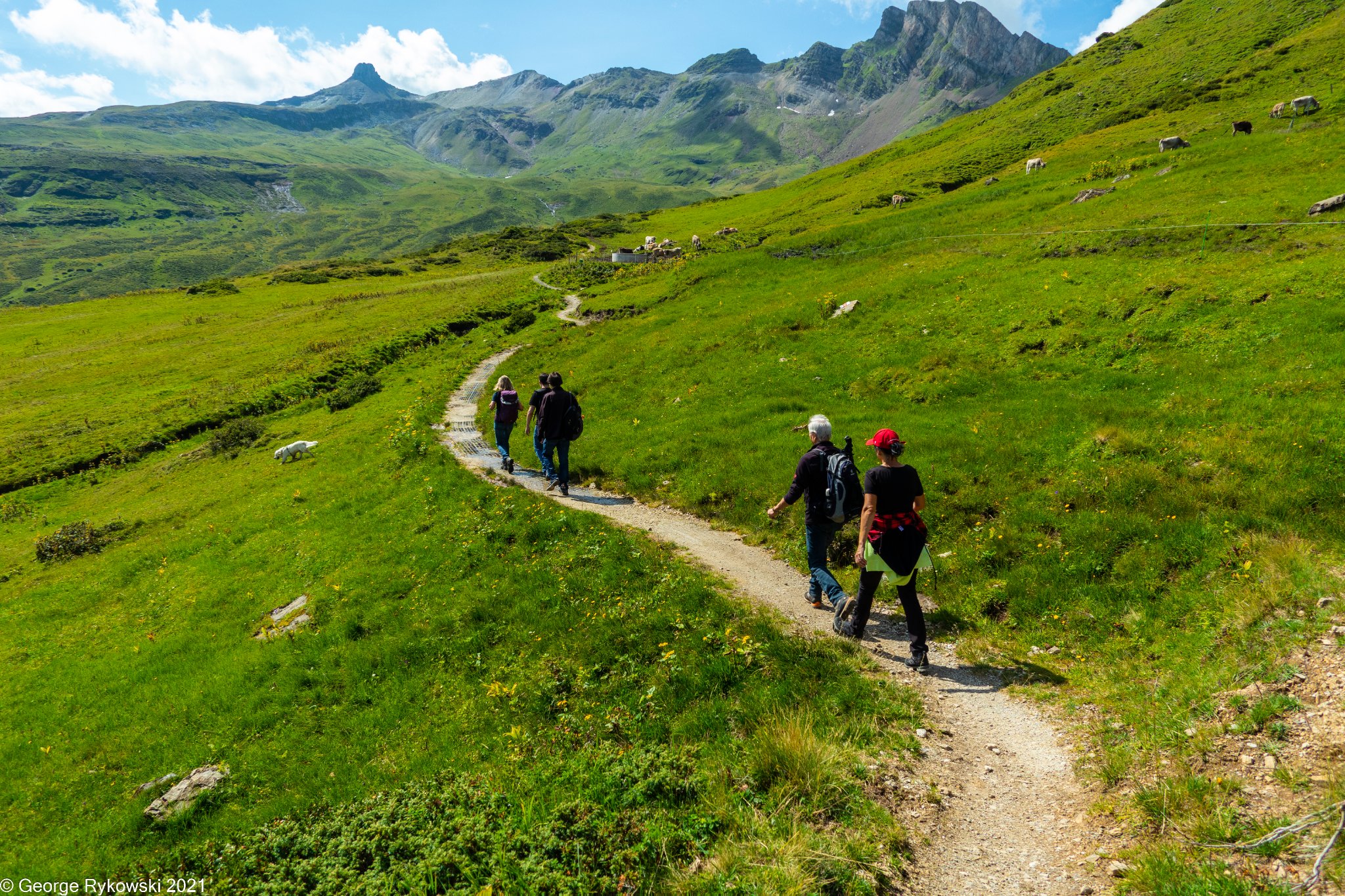 SwissVacation2021-2214.jpg
