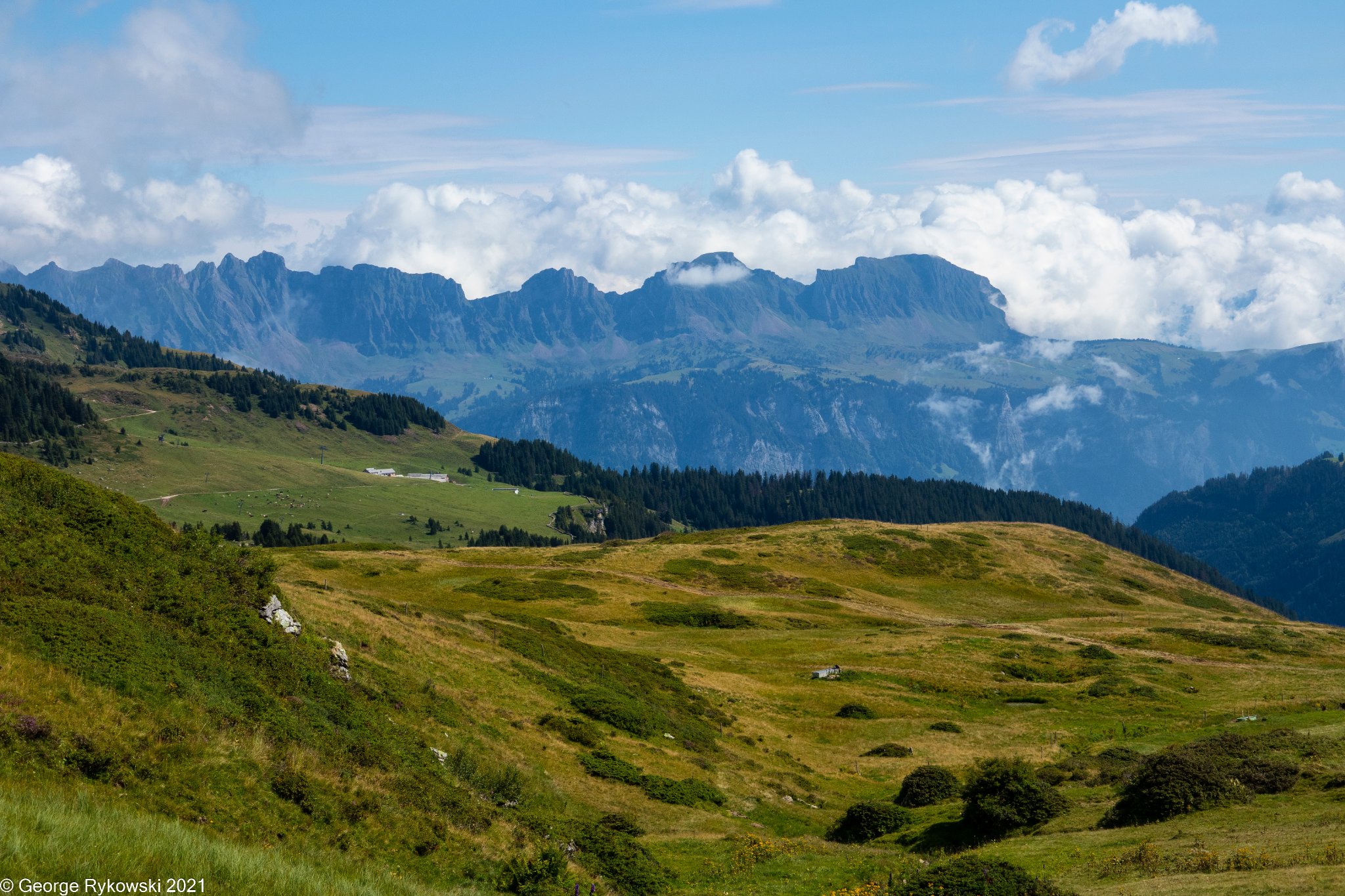 SwissVacation2021-2216.jpg