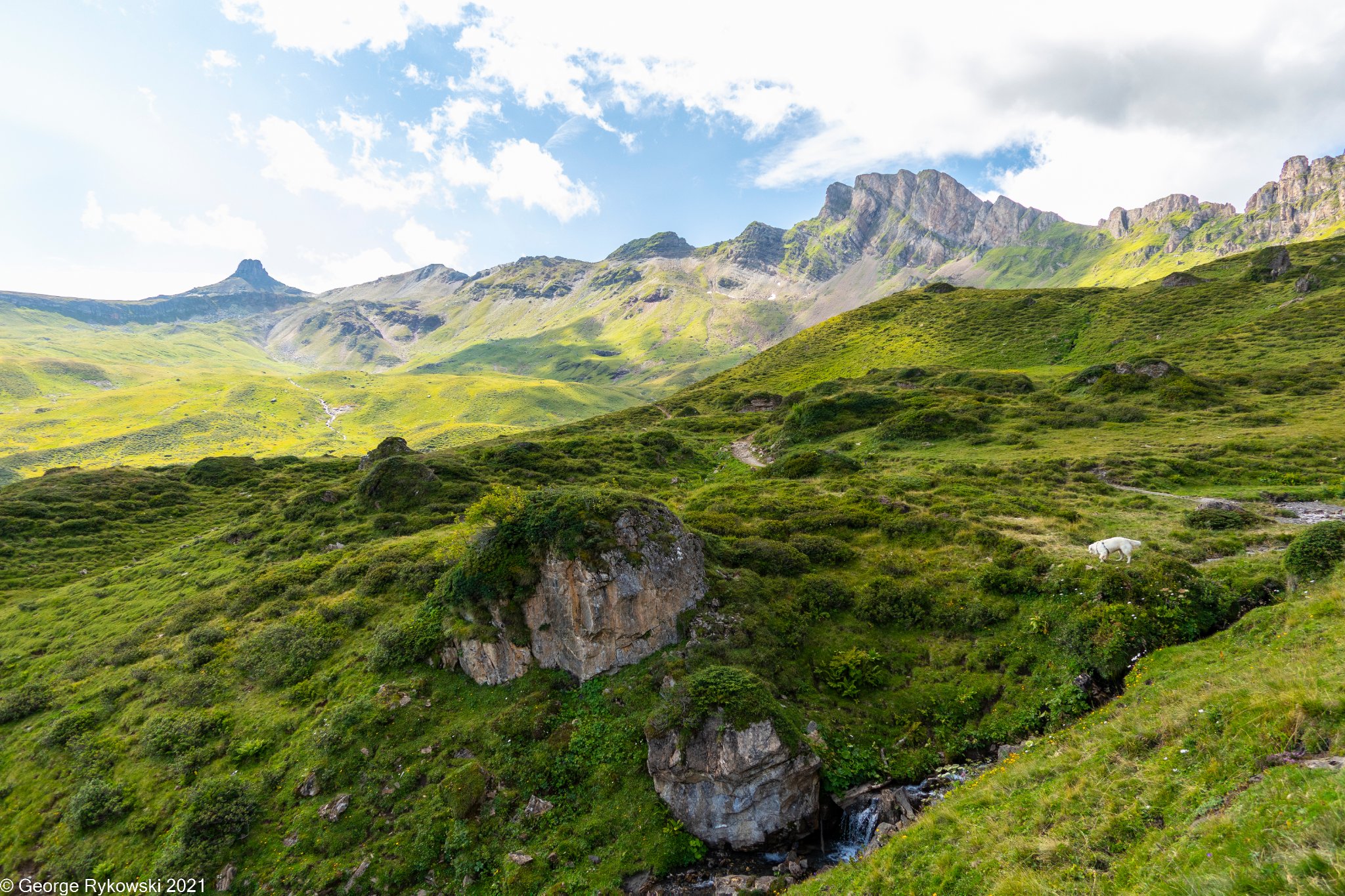 SwissVacation2021-2218.jpg