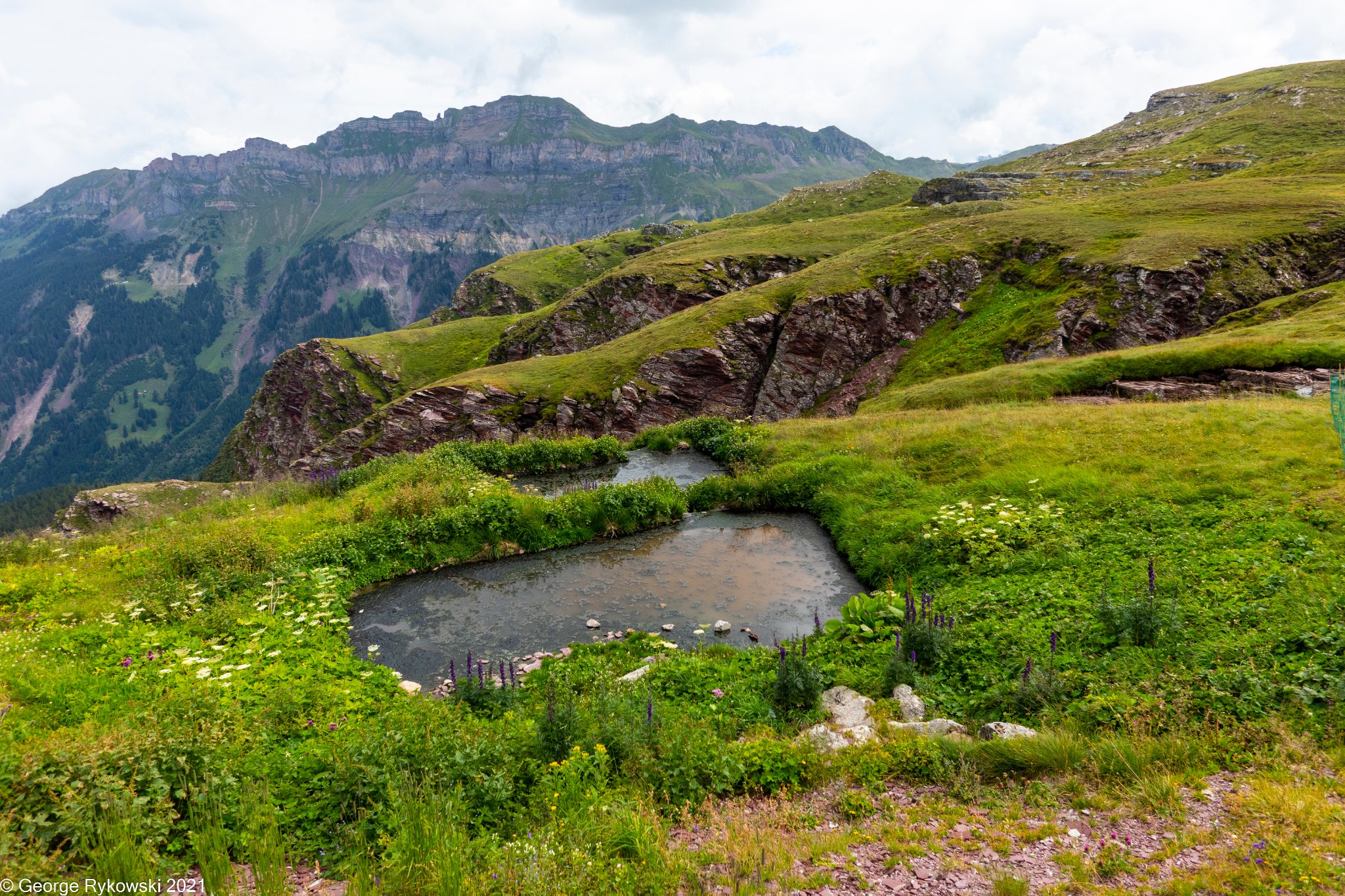 SwissVacation2021-2250.jpg