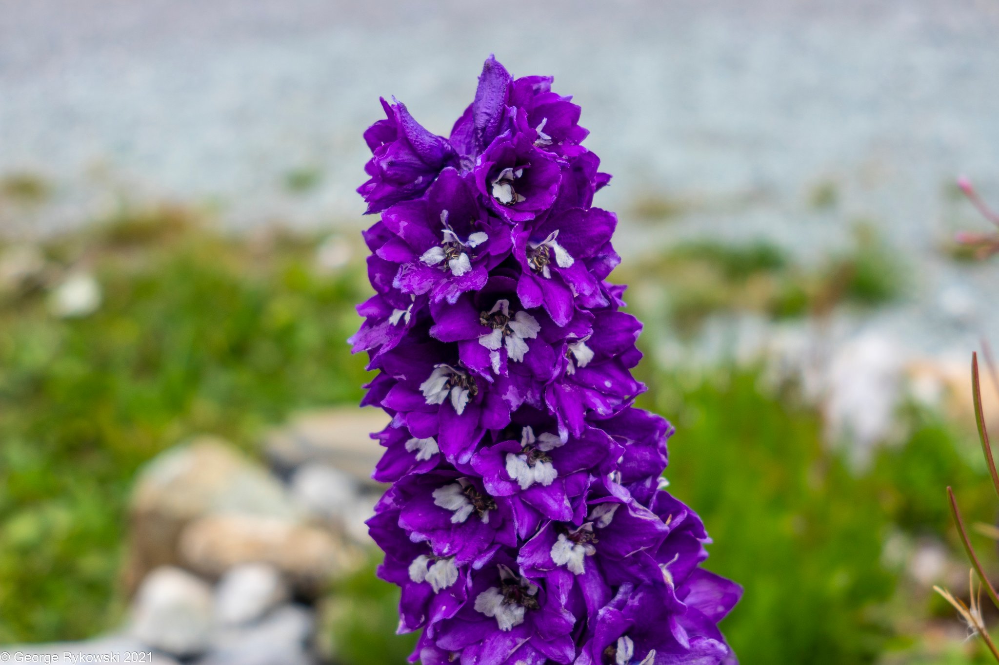 SwissVacation2021-2353.jpg