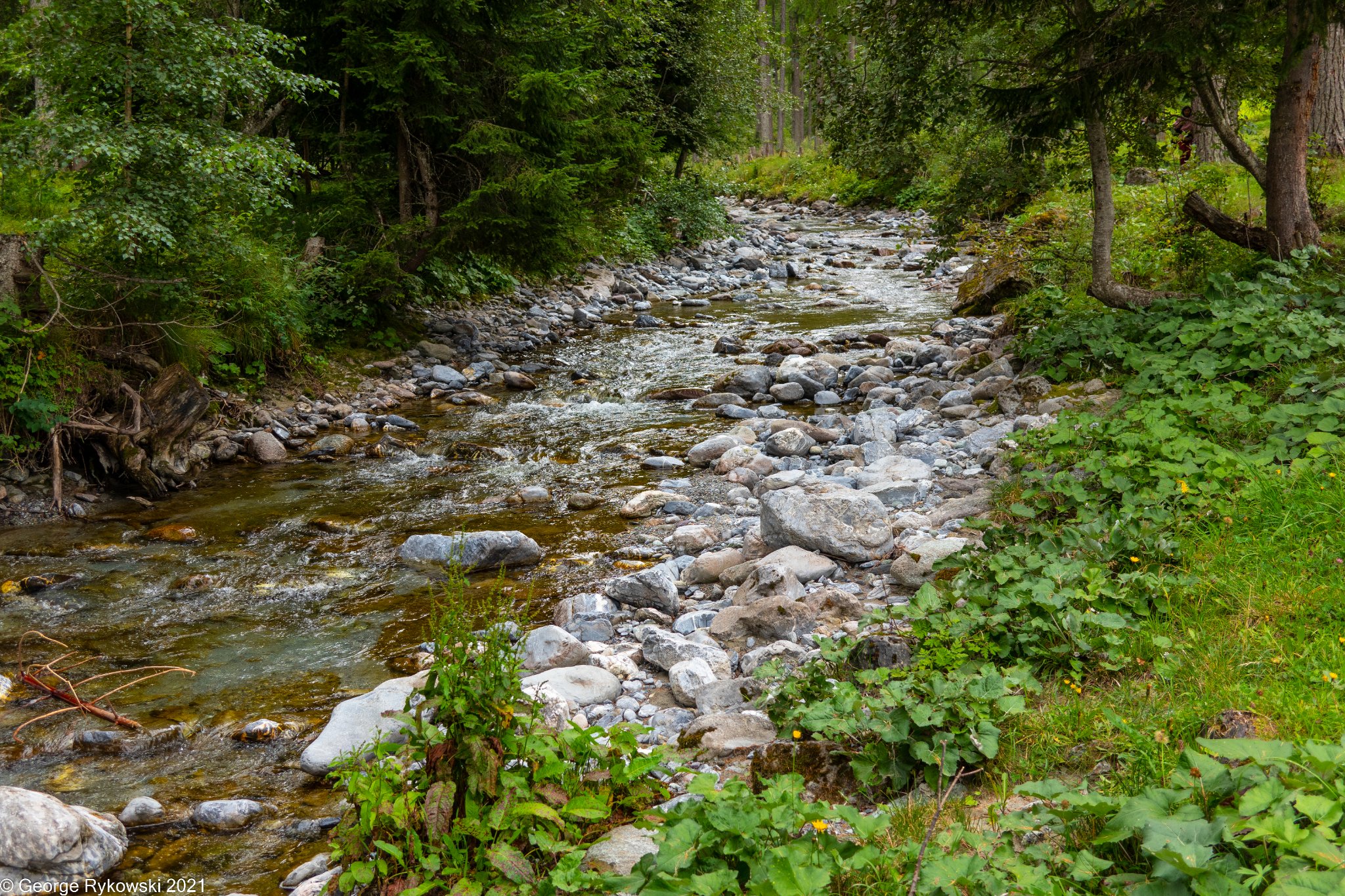 SwissVacation2021-2379.jpg