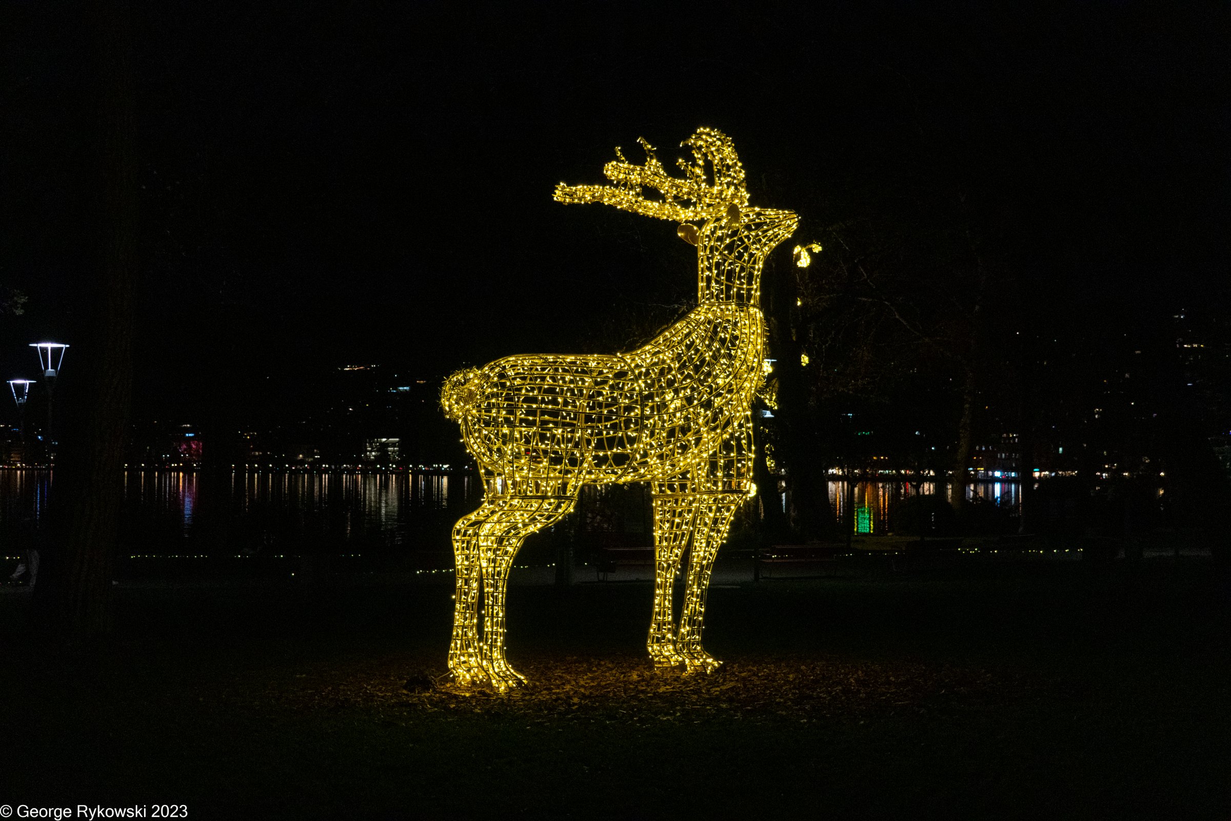 SwissVacation2023-3702.jpg