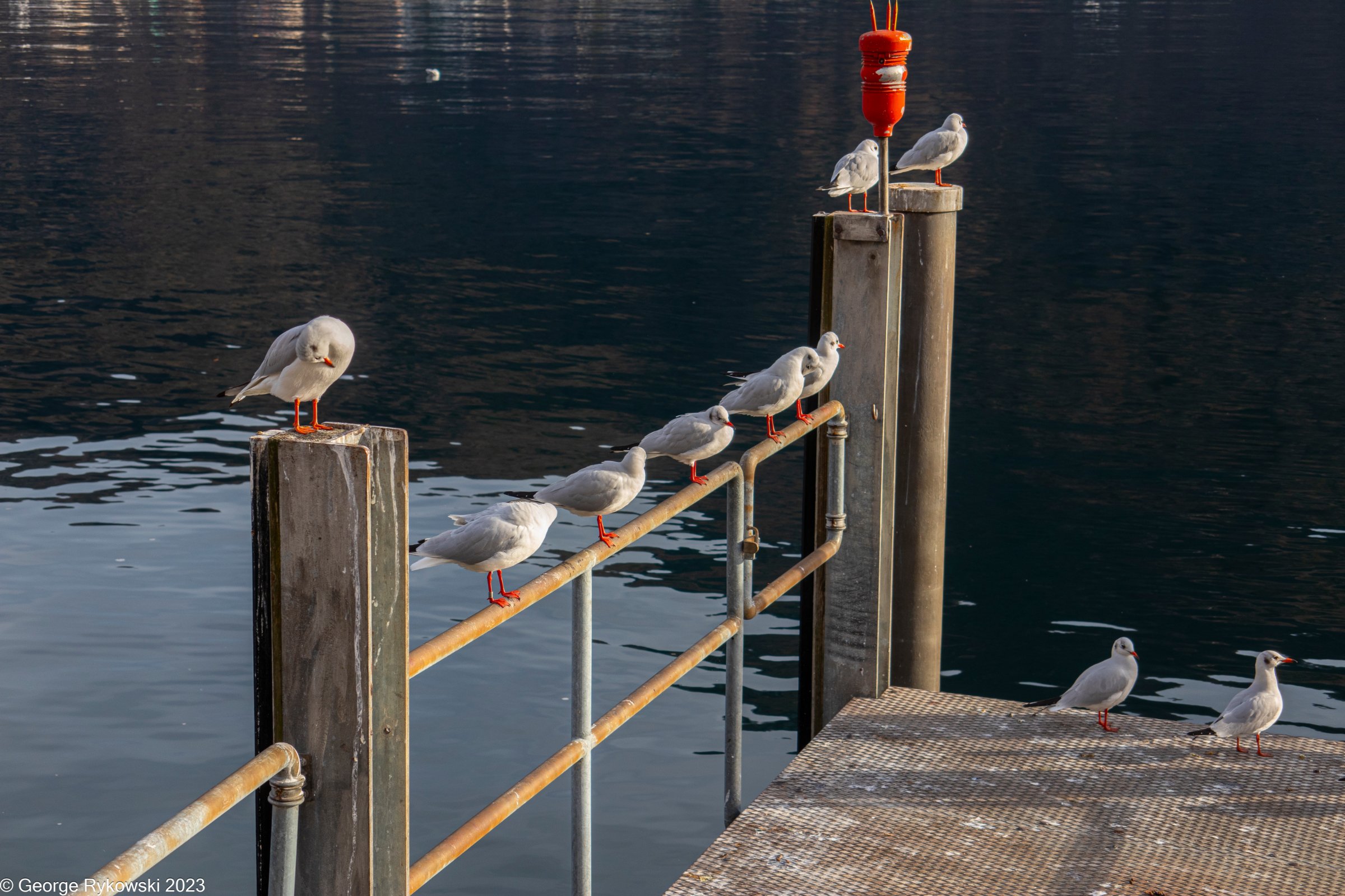 SwissVacation2023-3810.jpg