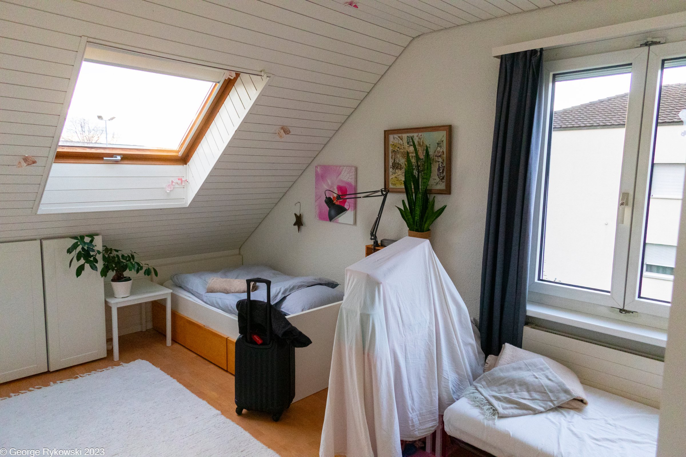 SwissVacation2023-3880.jpg