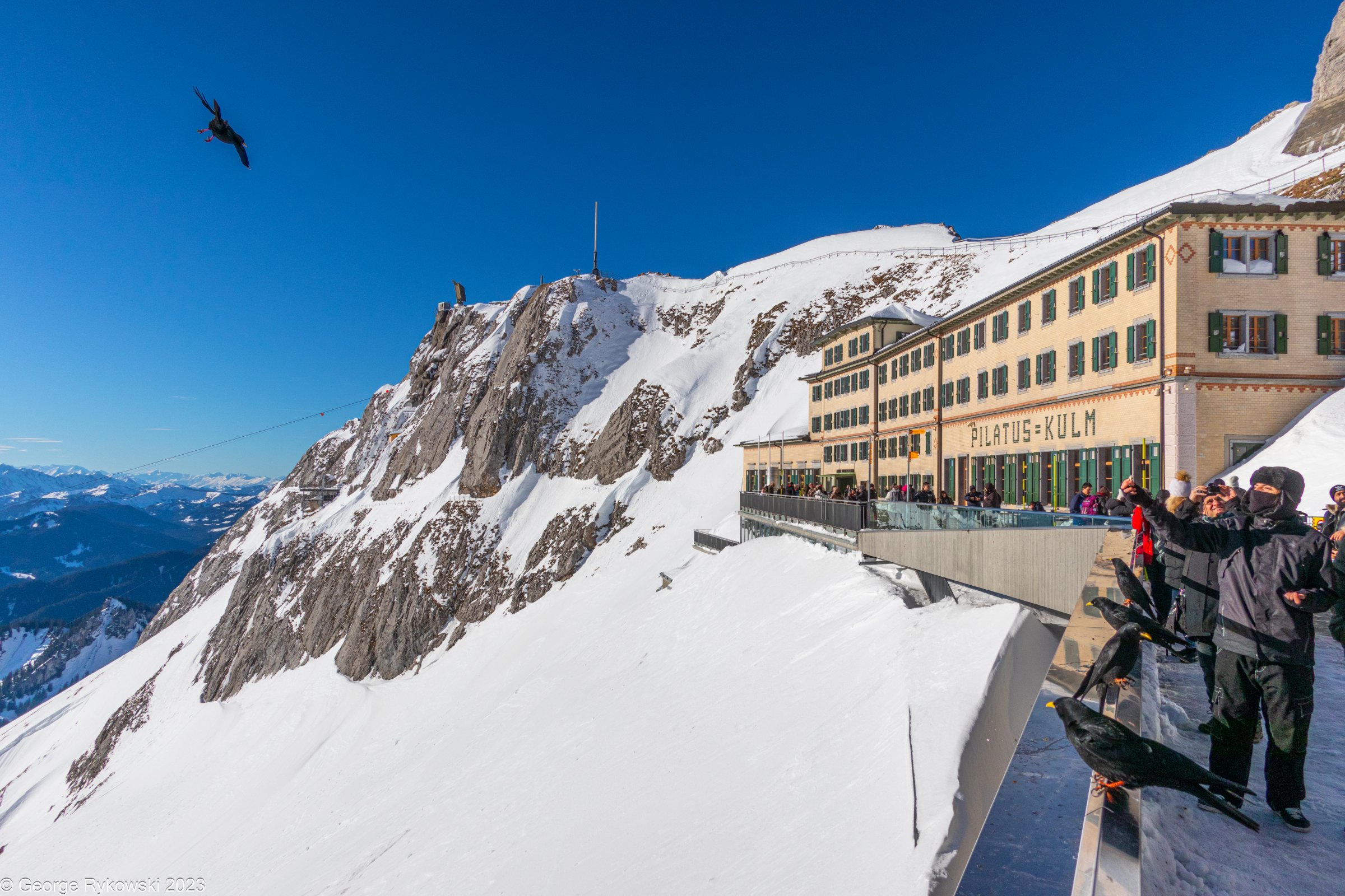 SwissVacation2023-3939.jpg