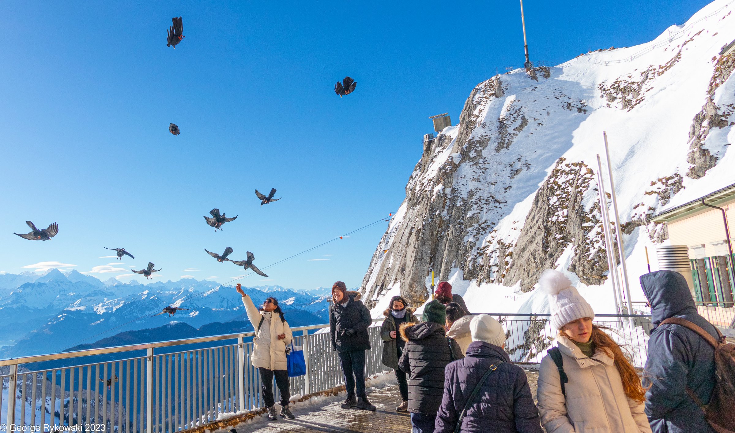 SwissVacation2023-3956.jpg