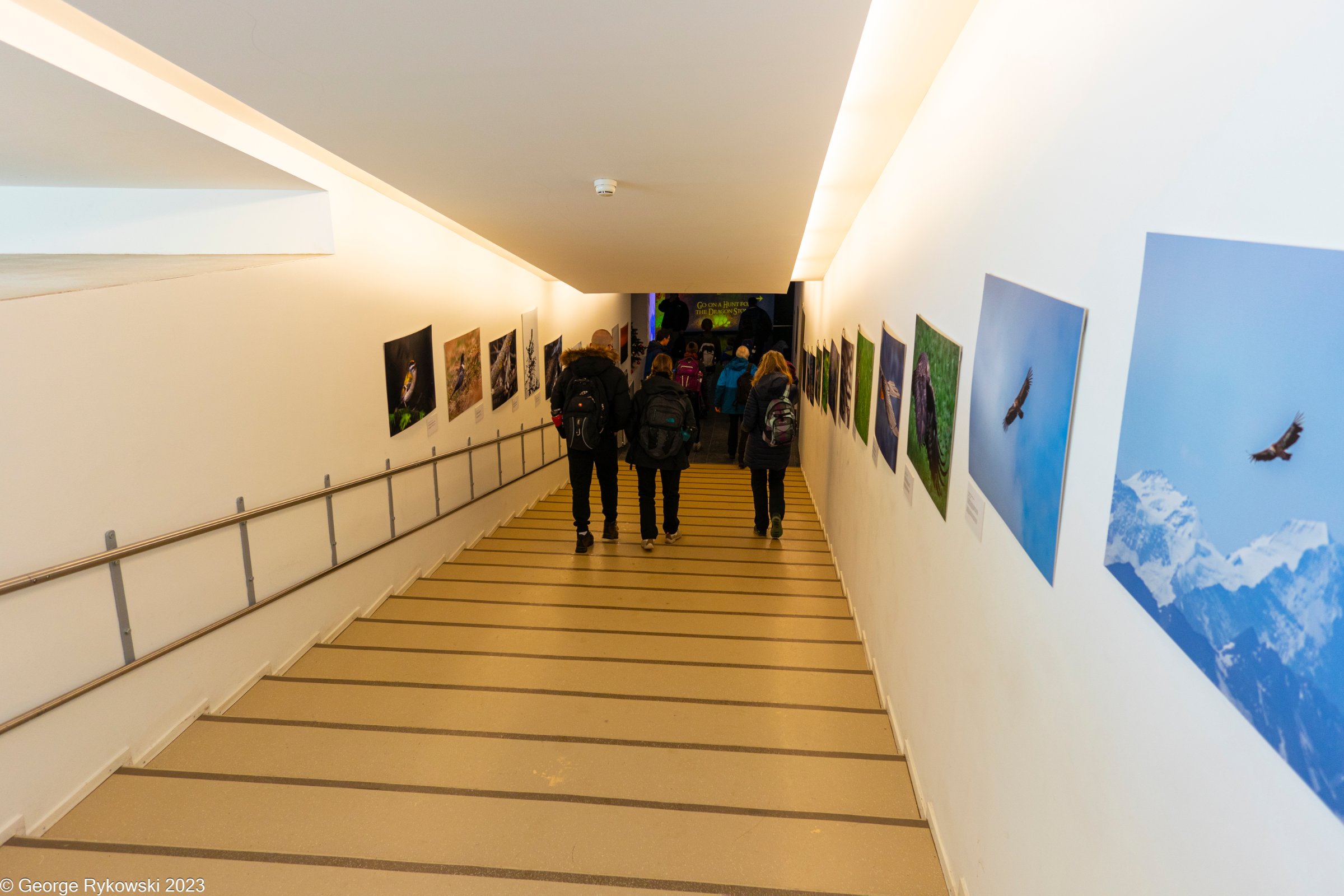 SwissVacation2023-3968.jpg