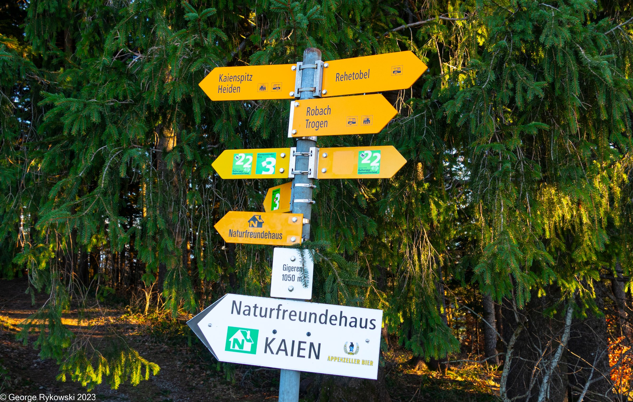 SwissVacation2023-4054.jpg