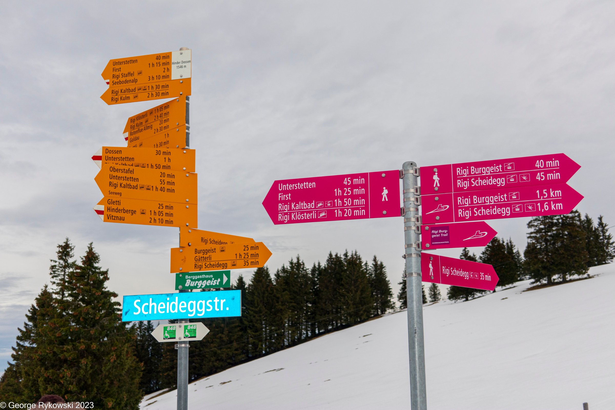 SwissVacation2023-4146.jpg