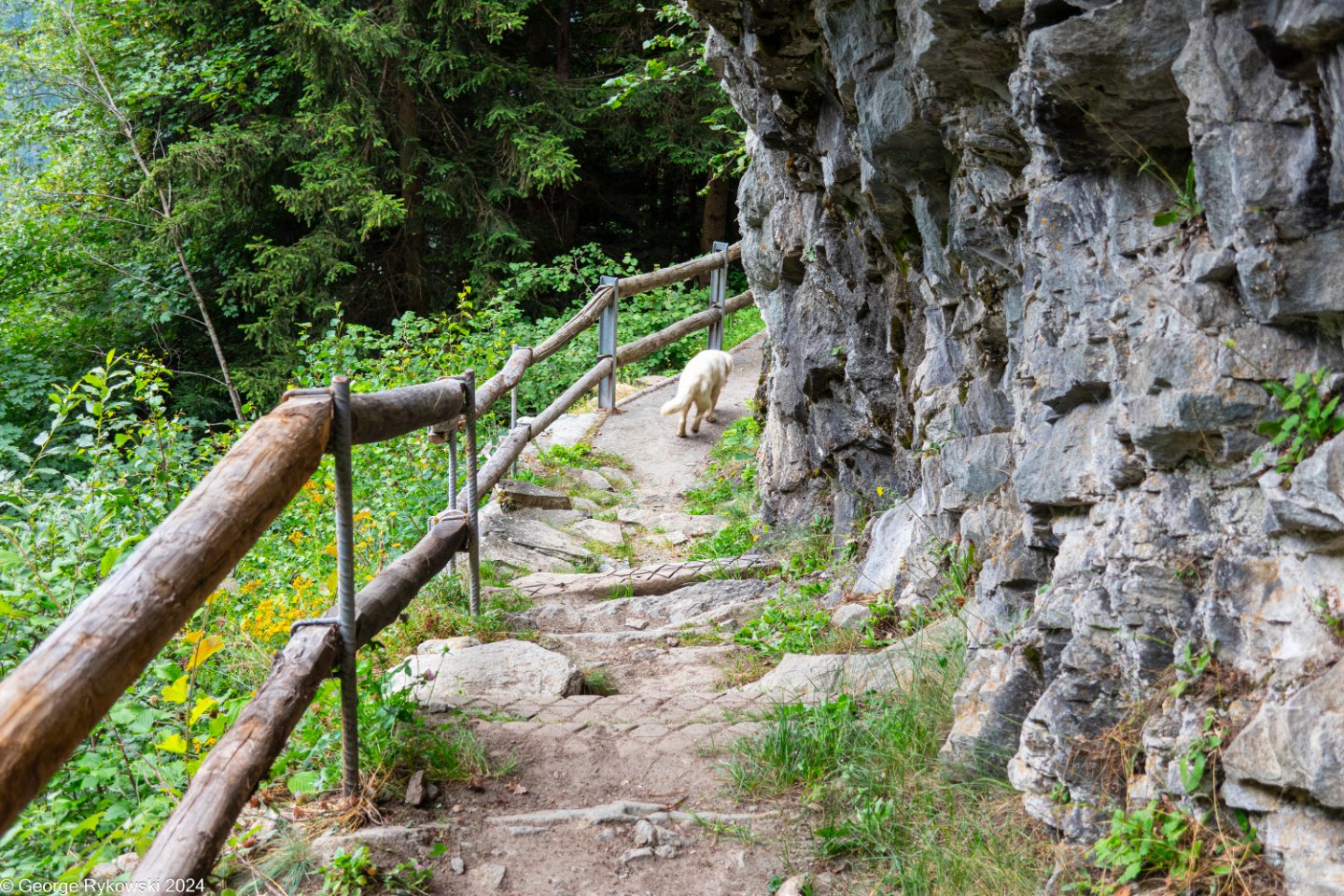 SwissVacation2024-4832.jpg