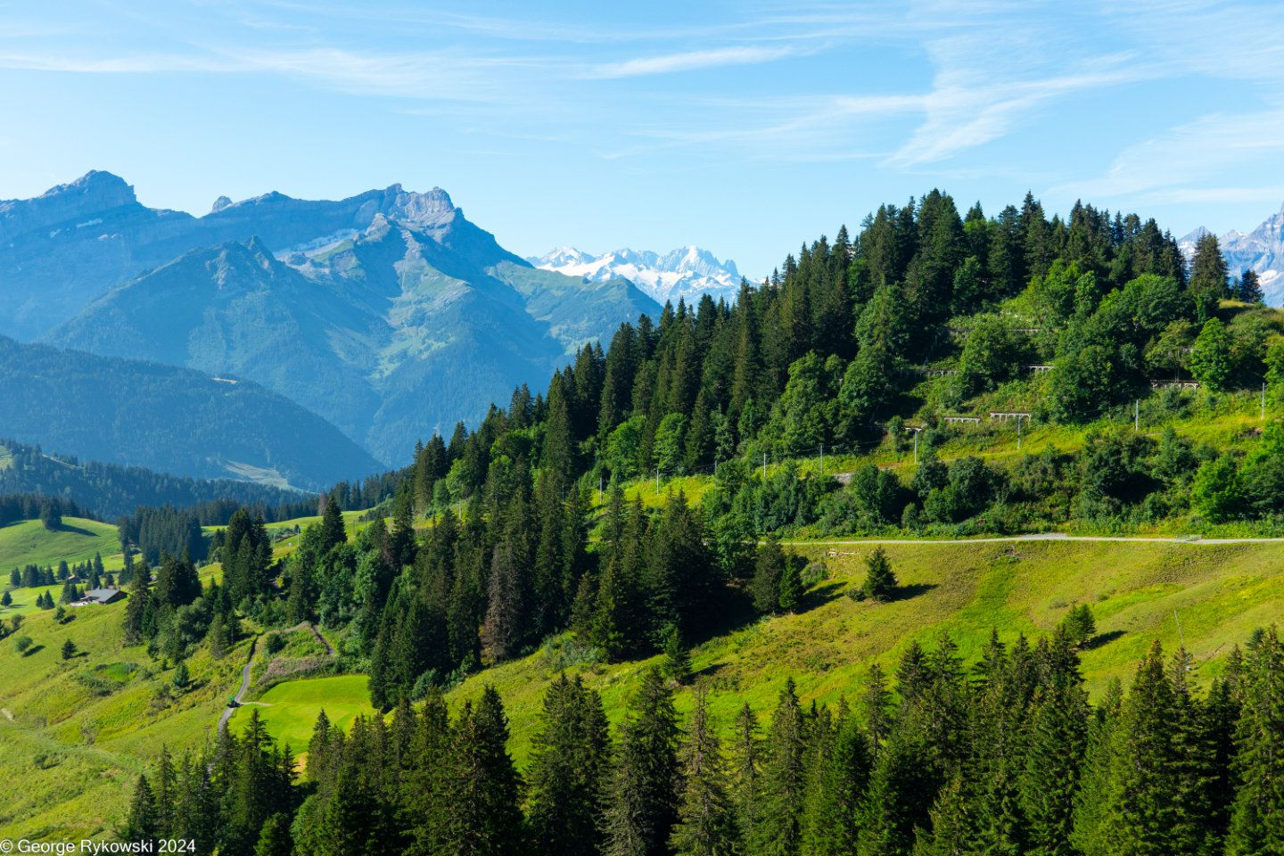 SwissVacation2024-5143.jpg