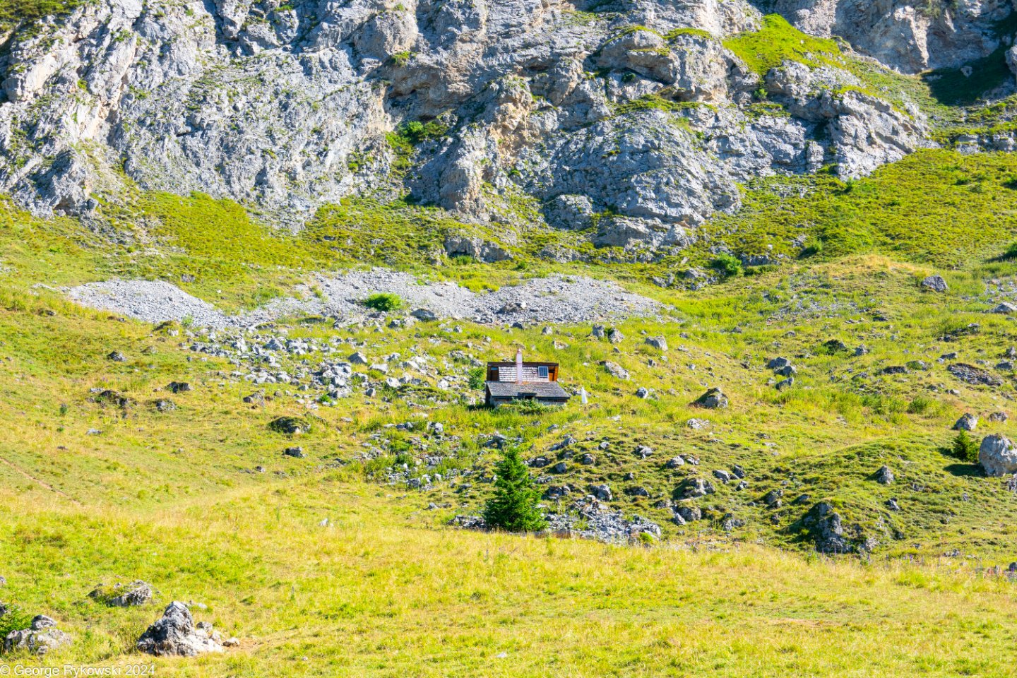 SwissVacation2024-5146.jpg