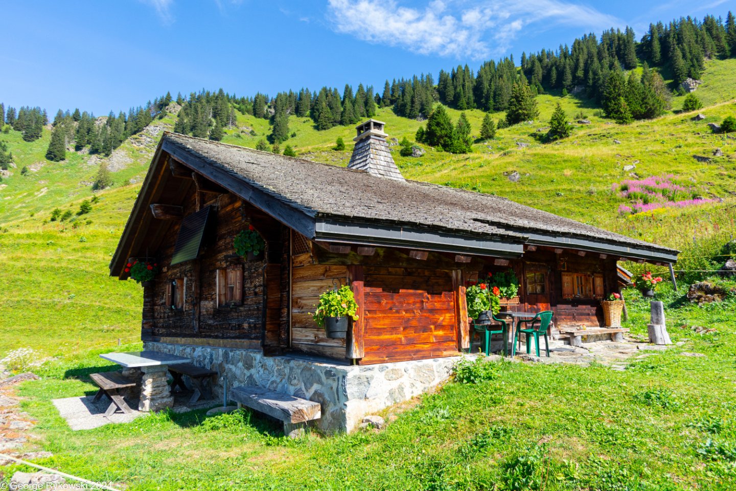 SwissVacation2024-5150.jpg