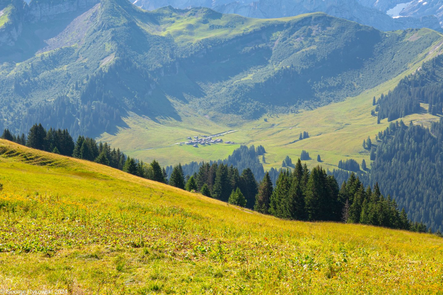 SwissVacation2024-5151.jpg