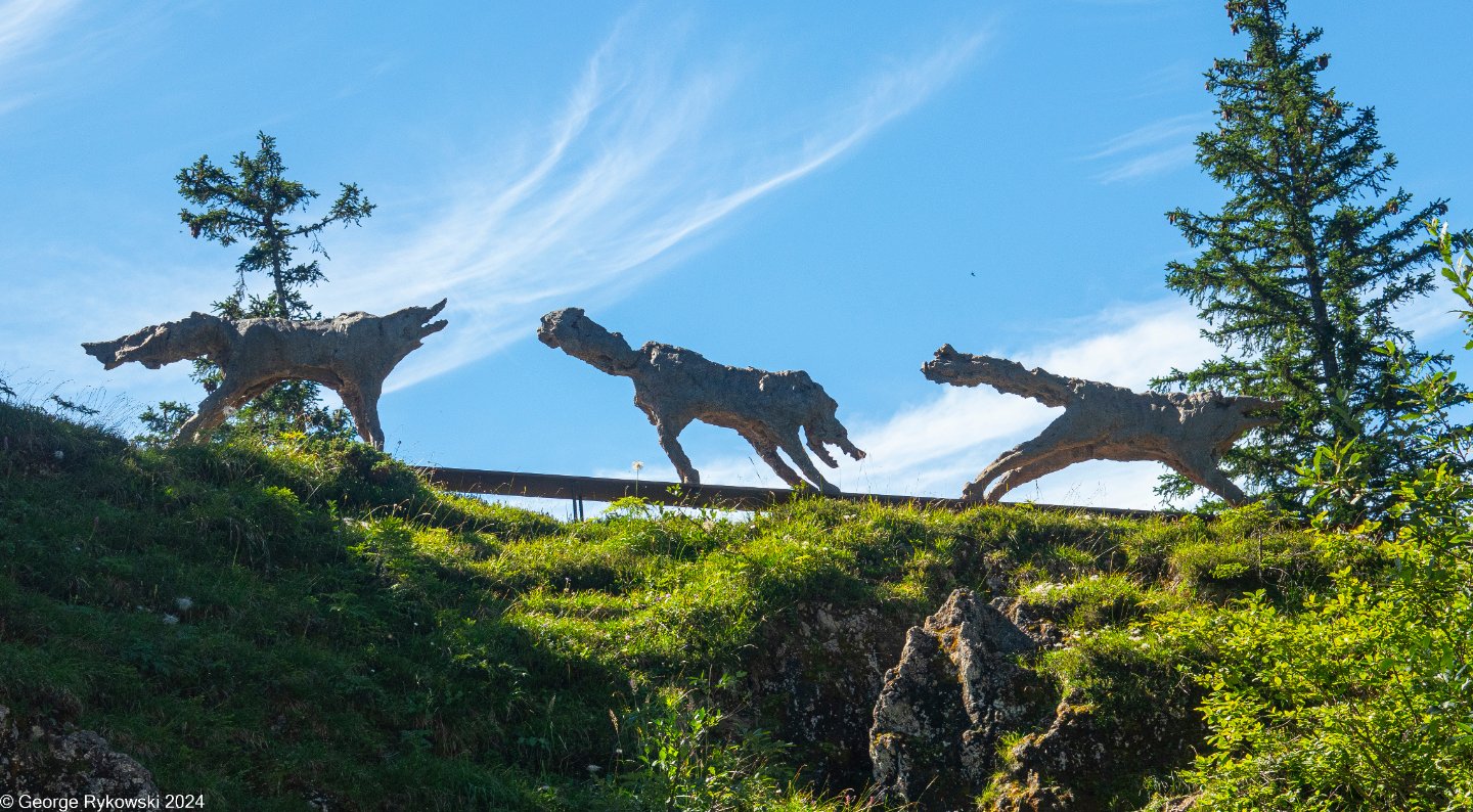 SwissVacation2024-5155.jpg