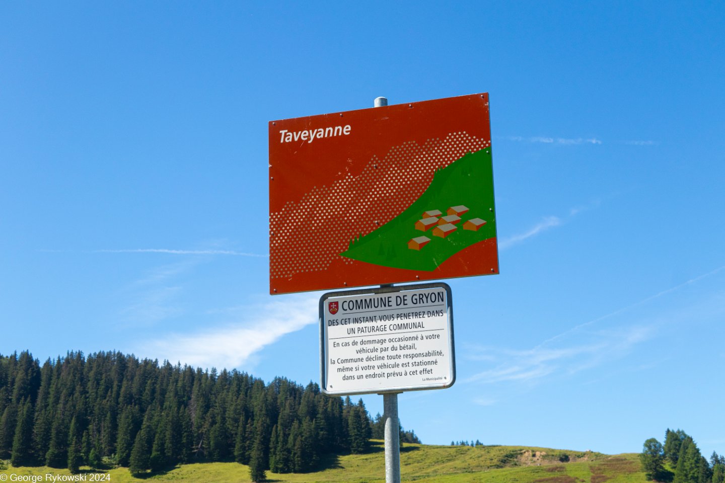SwissVacation2024-5171.jpg