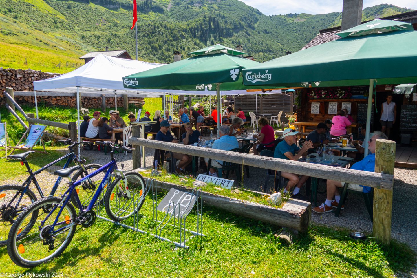 SwissVacation2024-5176.jpg