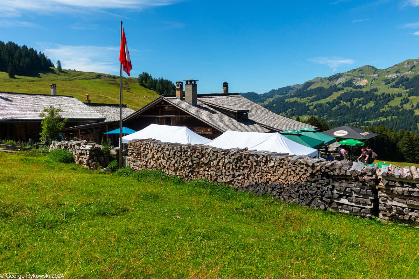 SwissVacation2024-5177.jpg