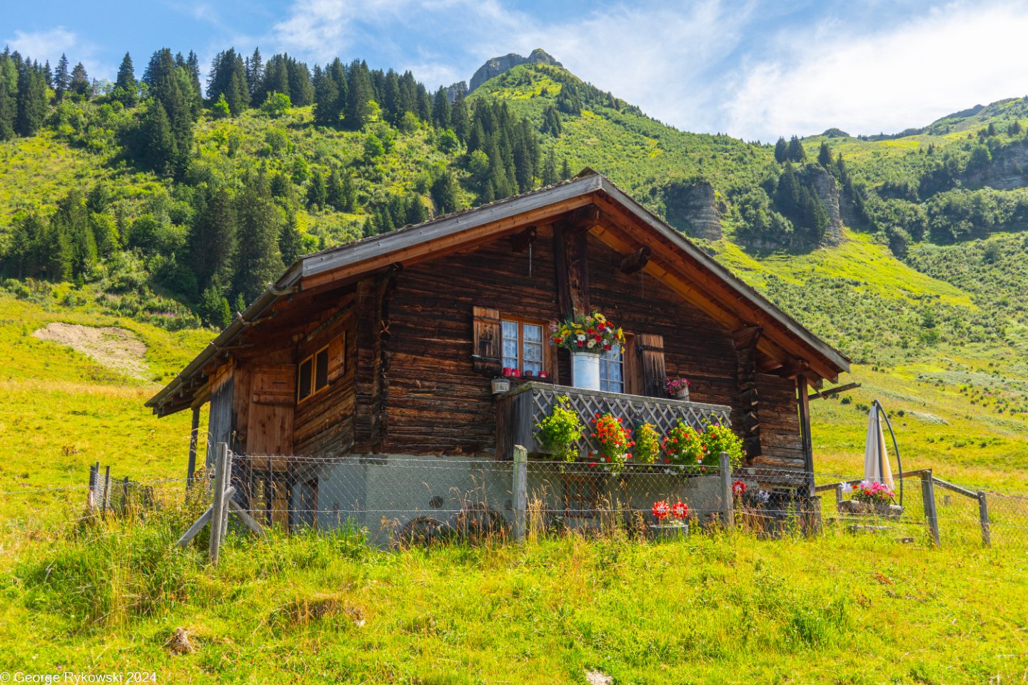 SwissVacation2024-5179.jpg