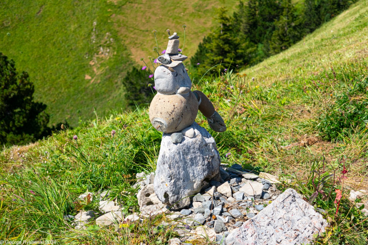 SwissVacation2024-5315.jpg