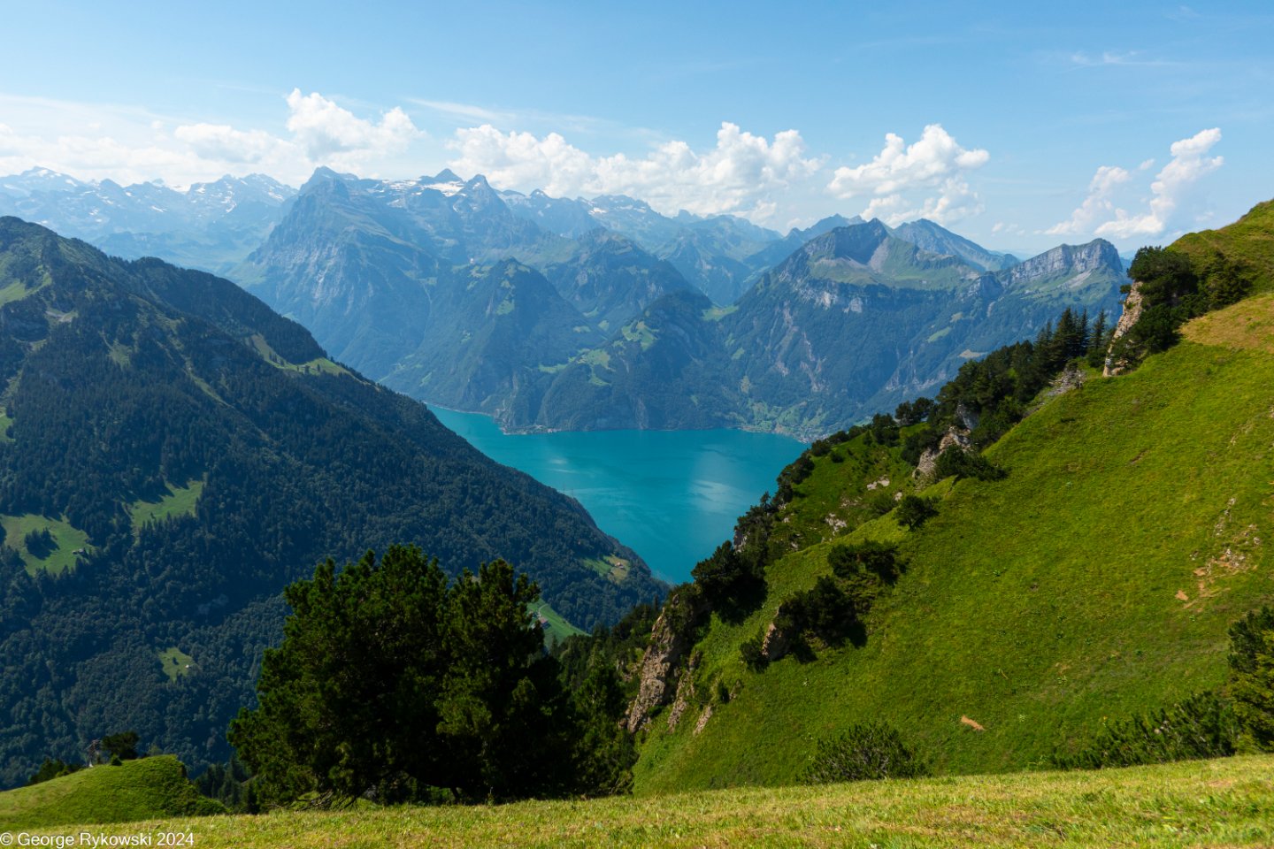 SwissVacation2024-5316.jpg