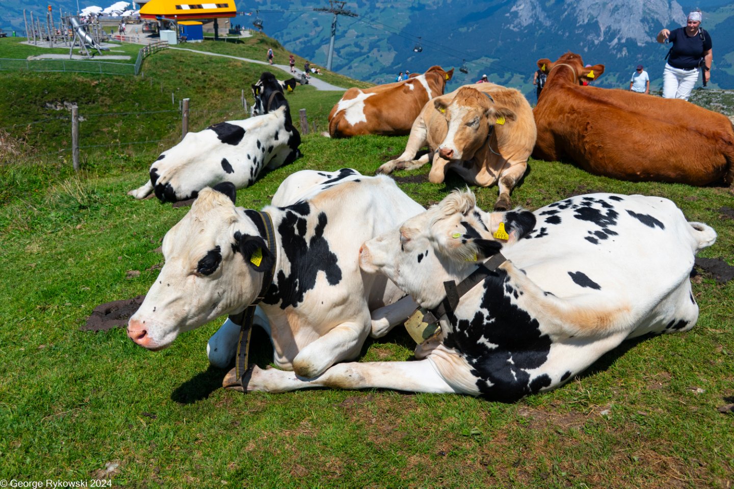 SwissVacation2024-5326.jpg