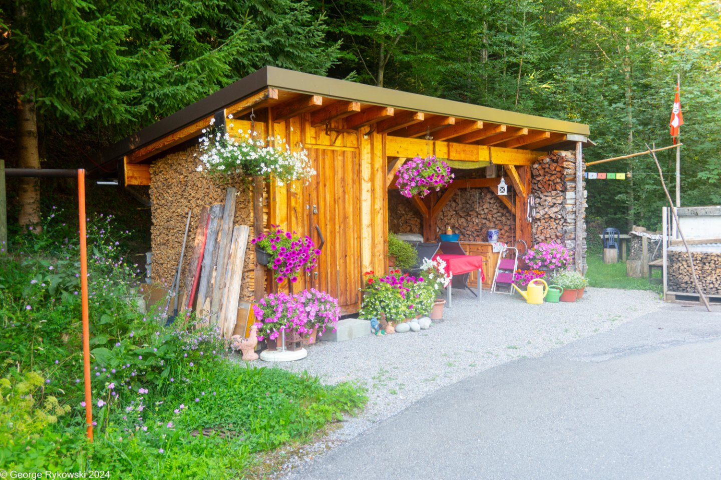 SwissVacation2024-5017.jpg