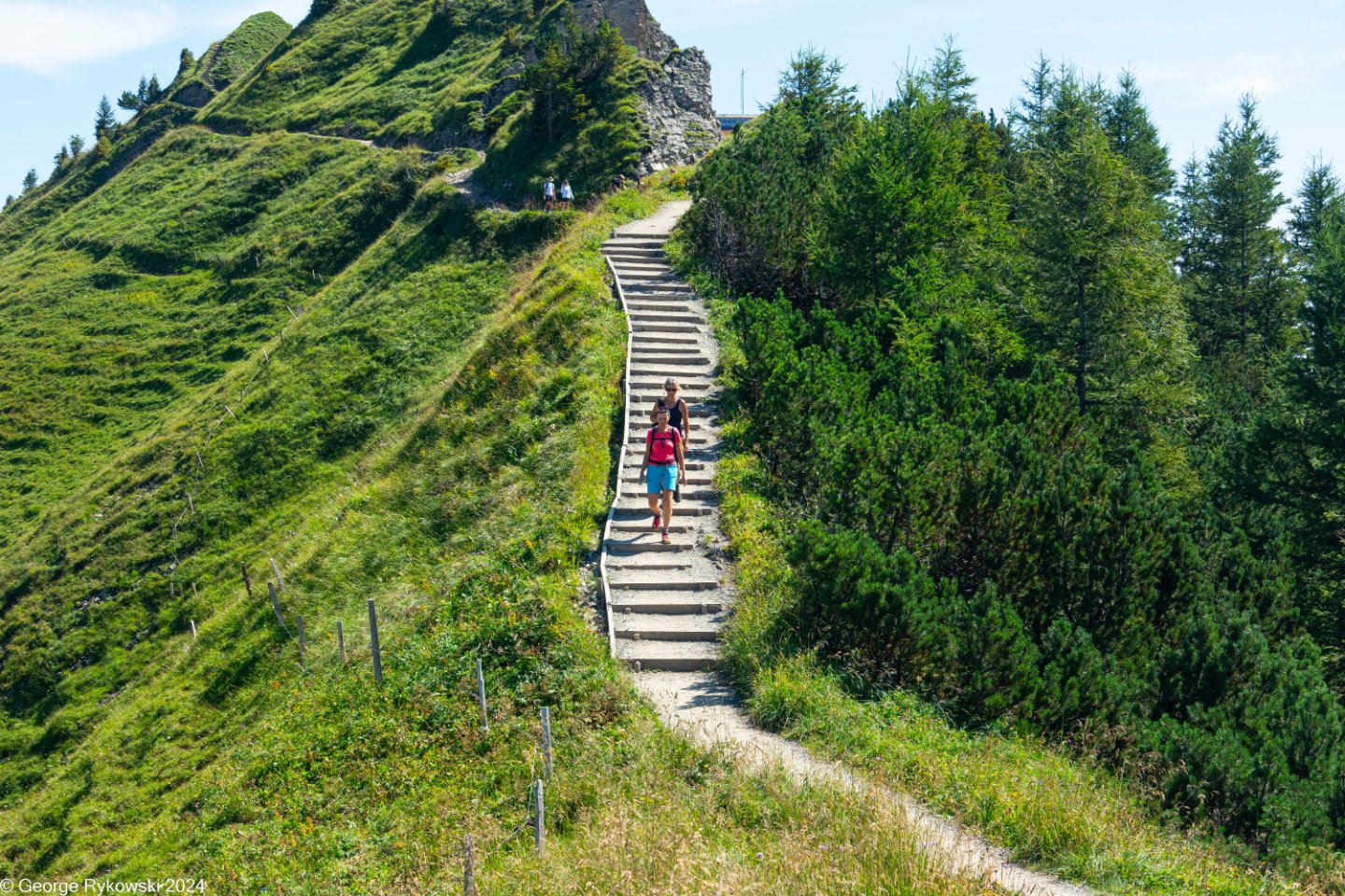 SwissVacation2024-5301.jpg