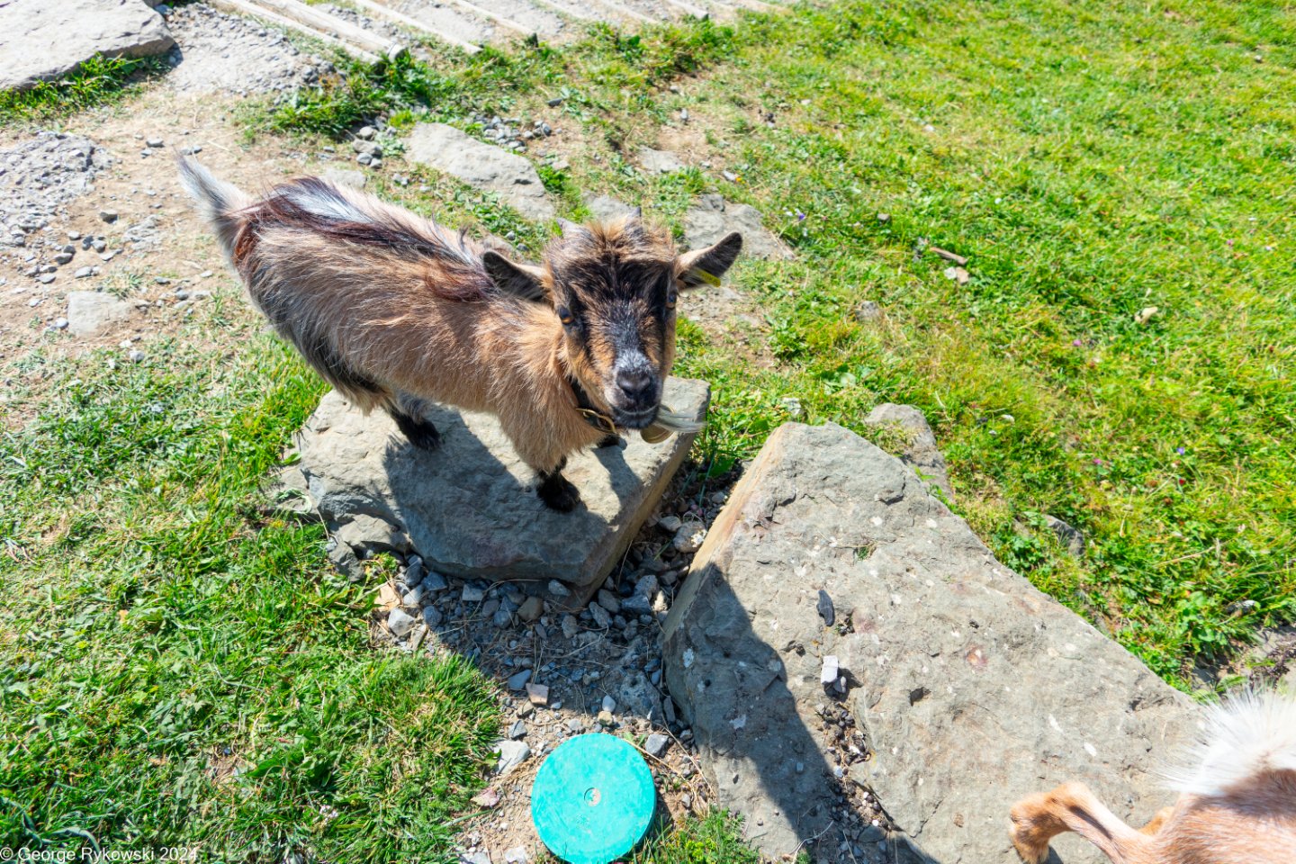 SwissVacation2024-5342.jpg